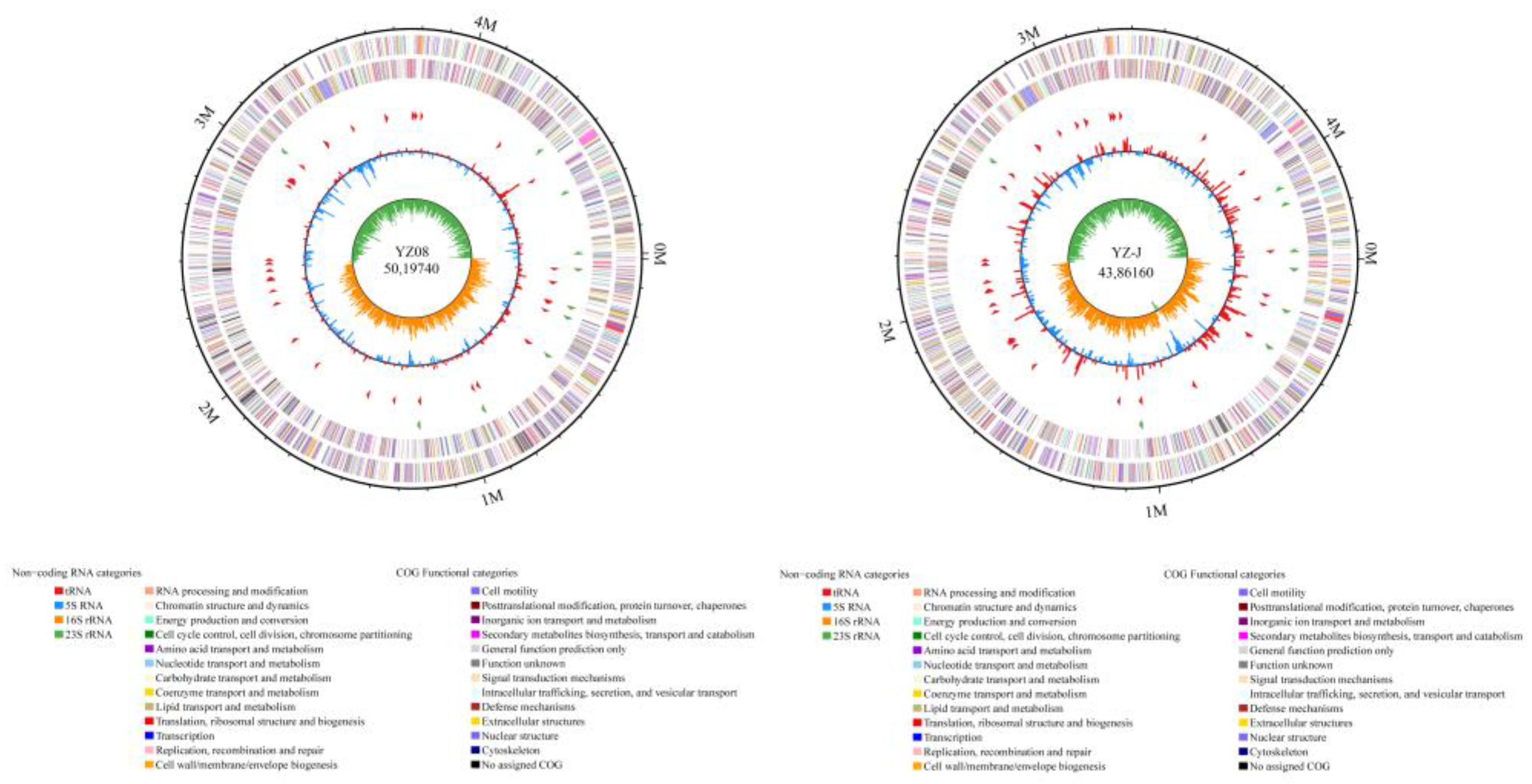 Foods 11 01261 g001 550