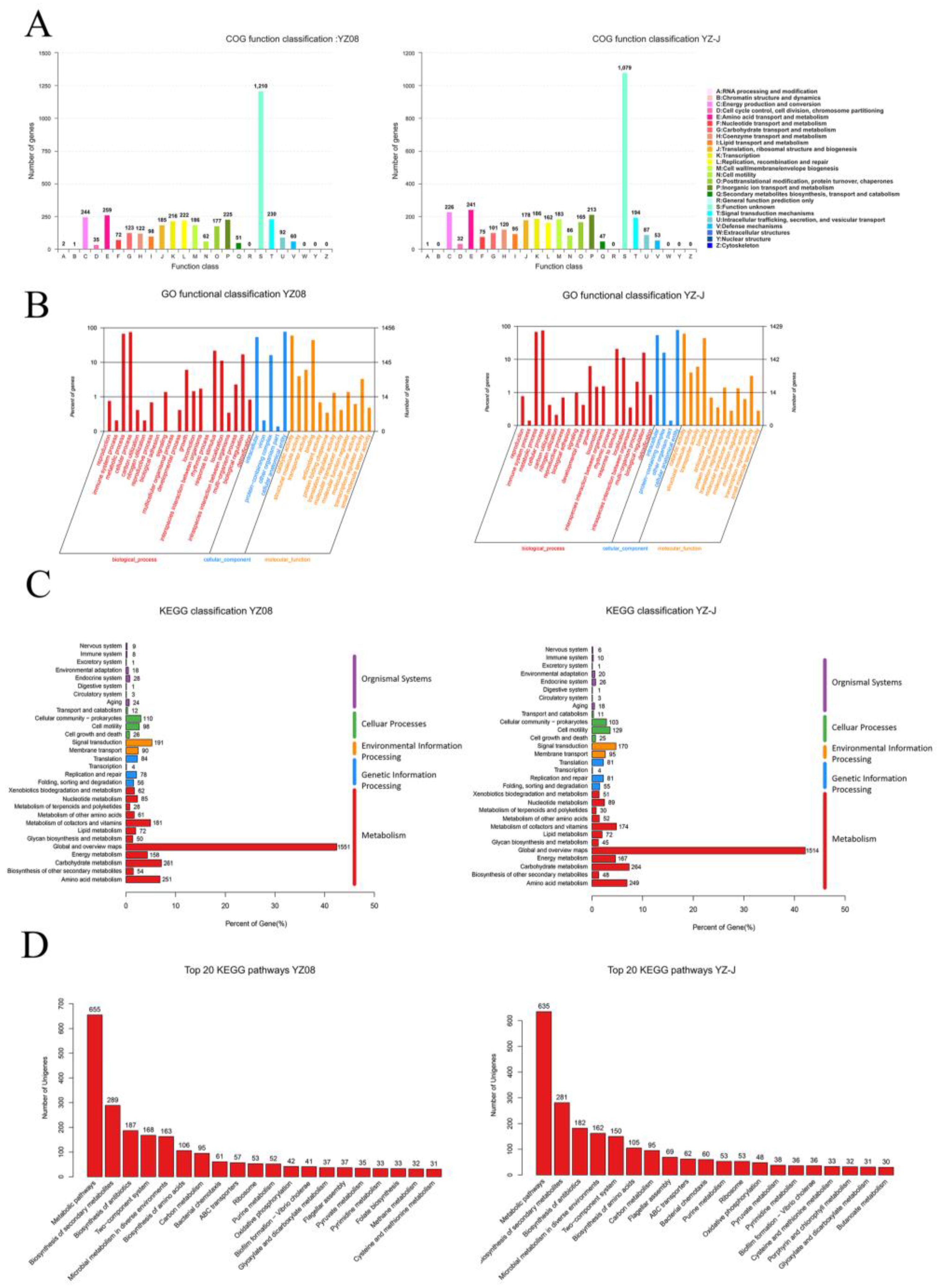 Foods 11 01261 g002 550