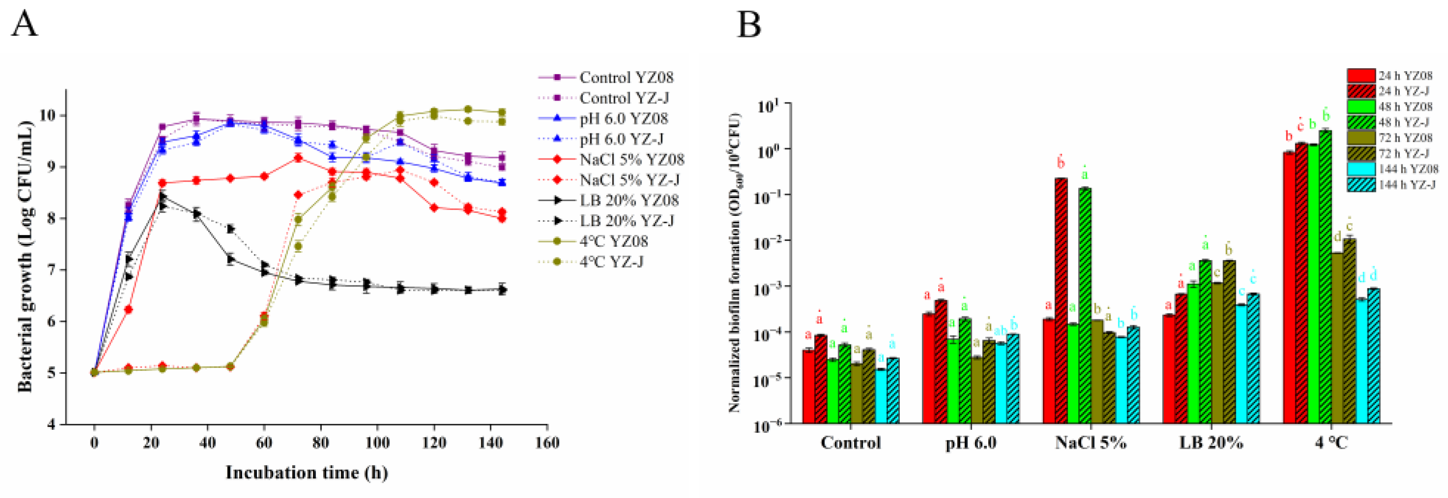 Foods 11 01261 g004 550