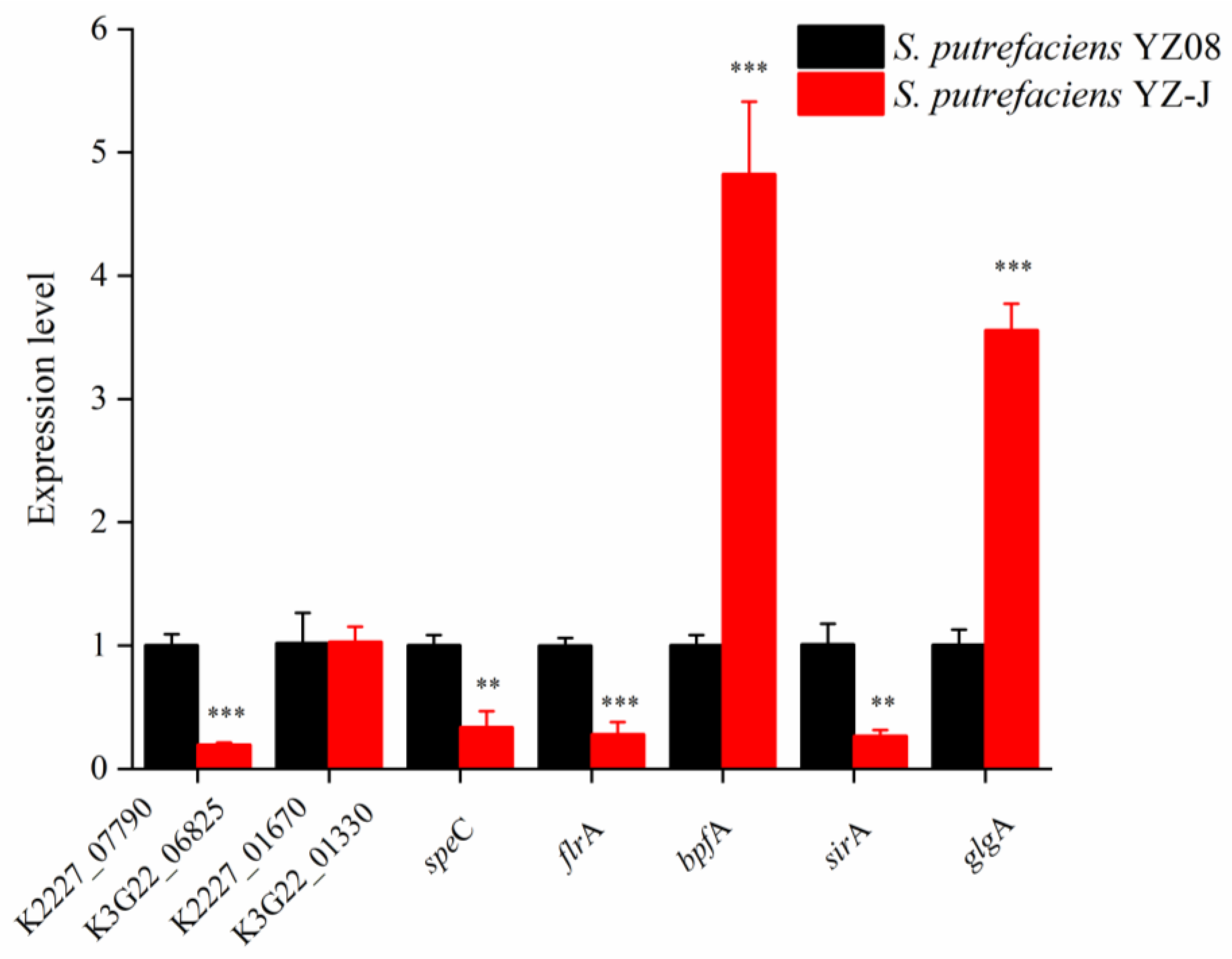 Foods 11 01261 g005 550