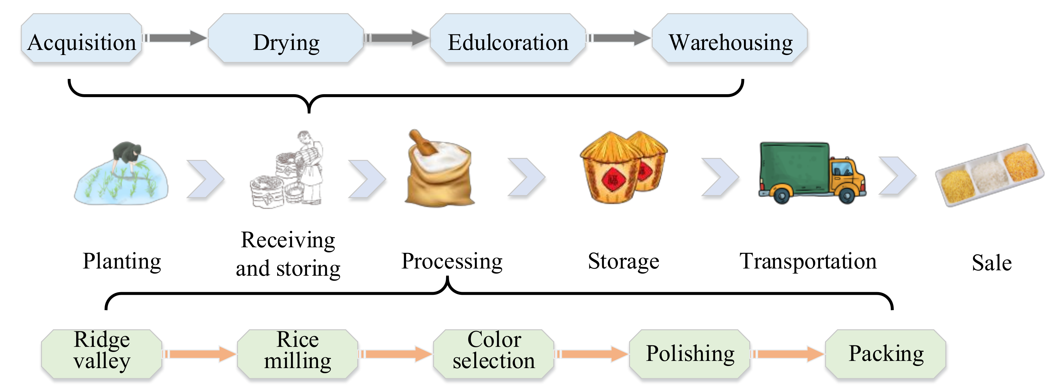 Research on the Cross-Chain Model of Rice ... Biology Diagrams