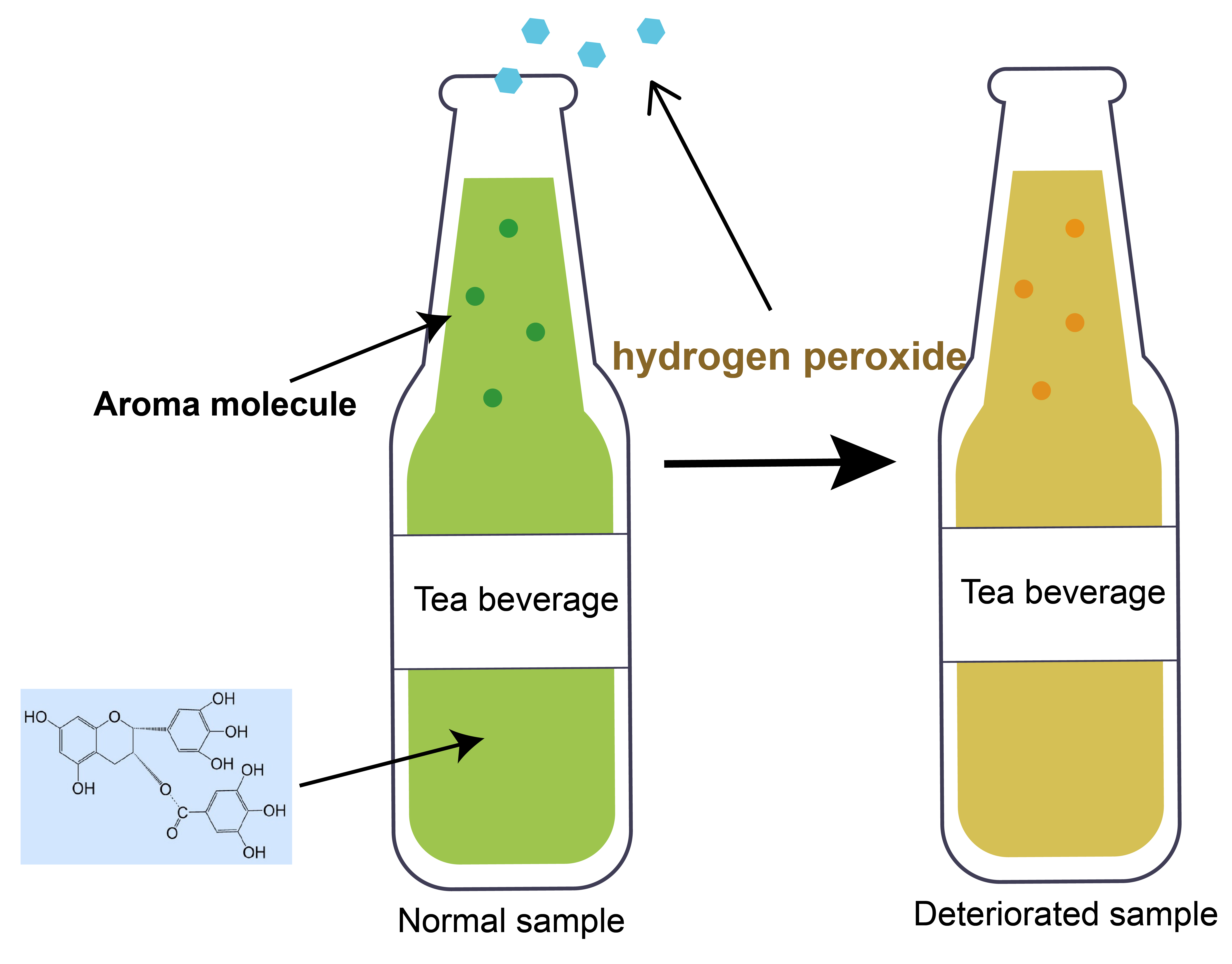 Foods | Free Full-Text | Effects of Hydrogen Peroxide Produced by 