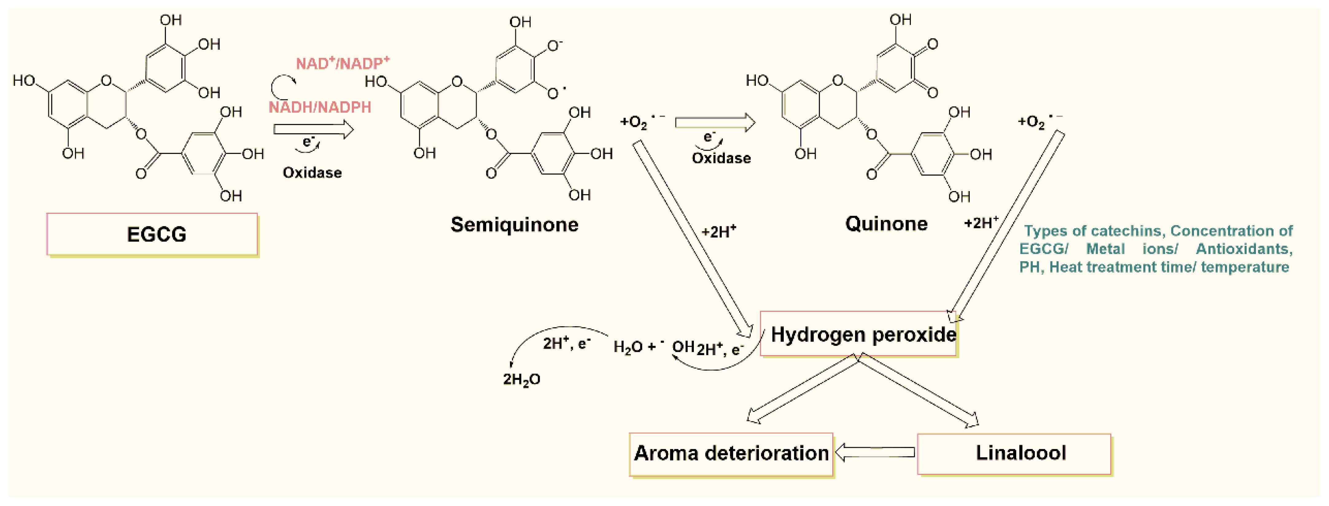 Foods 11 01273 g004 Foods 11 01273 g004