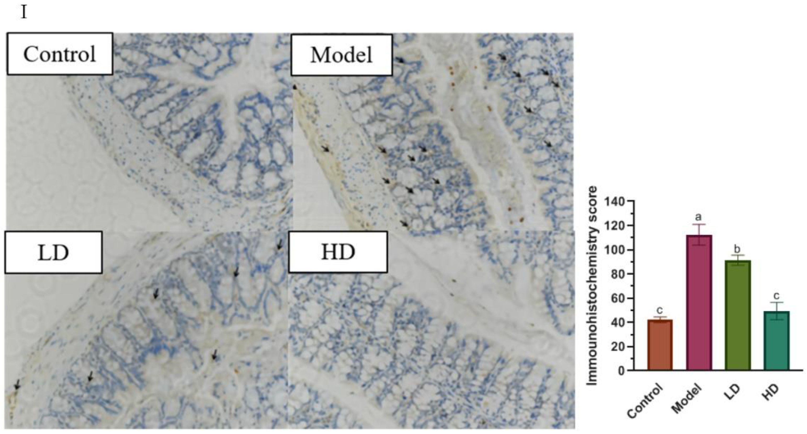 Foods 11 01293 g002b
