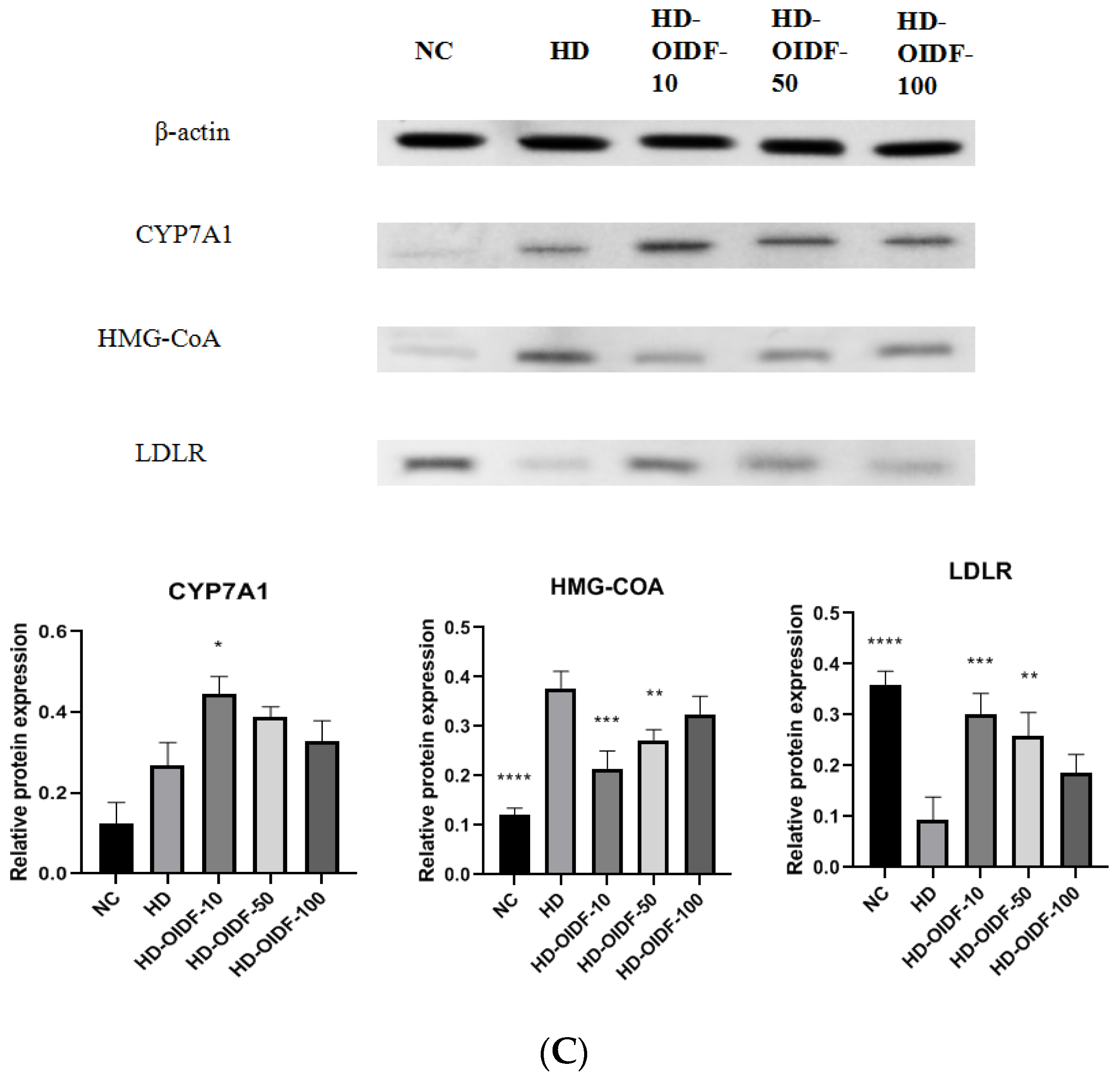 Foods 11 01298 g005b