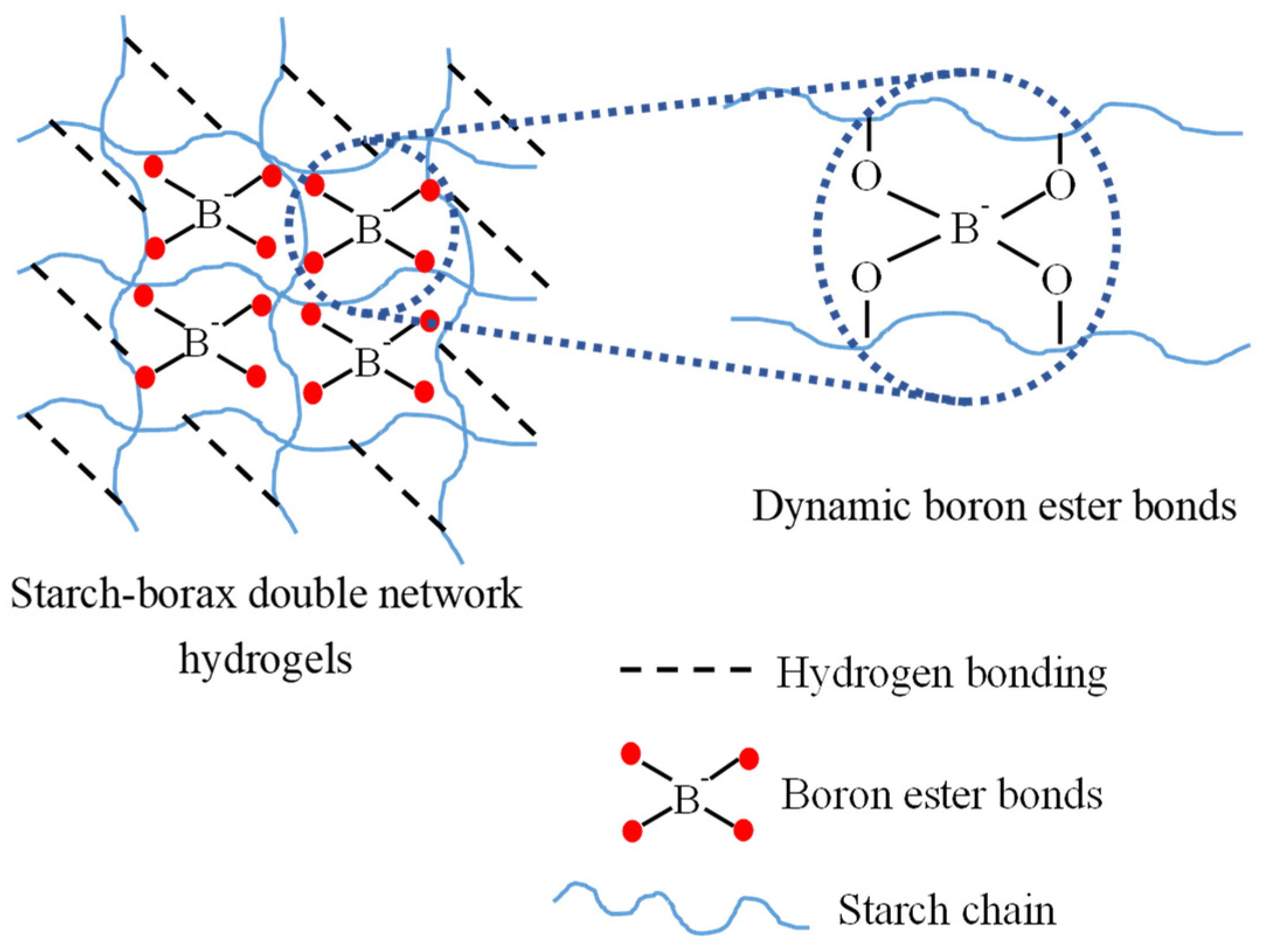 Foods 11 01315 sch001 550