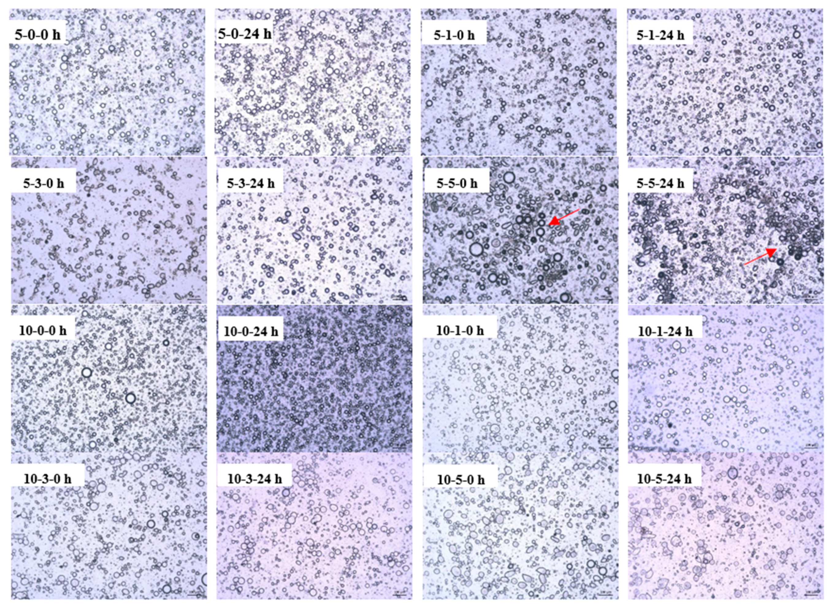 Foods 11 01326 g003 550