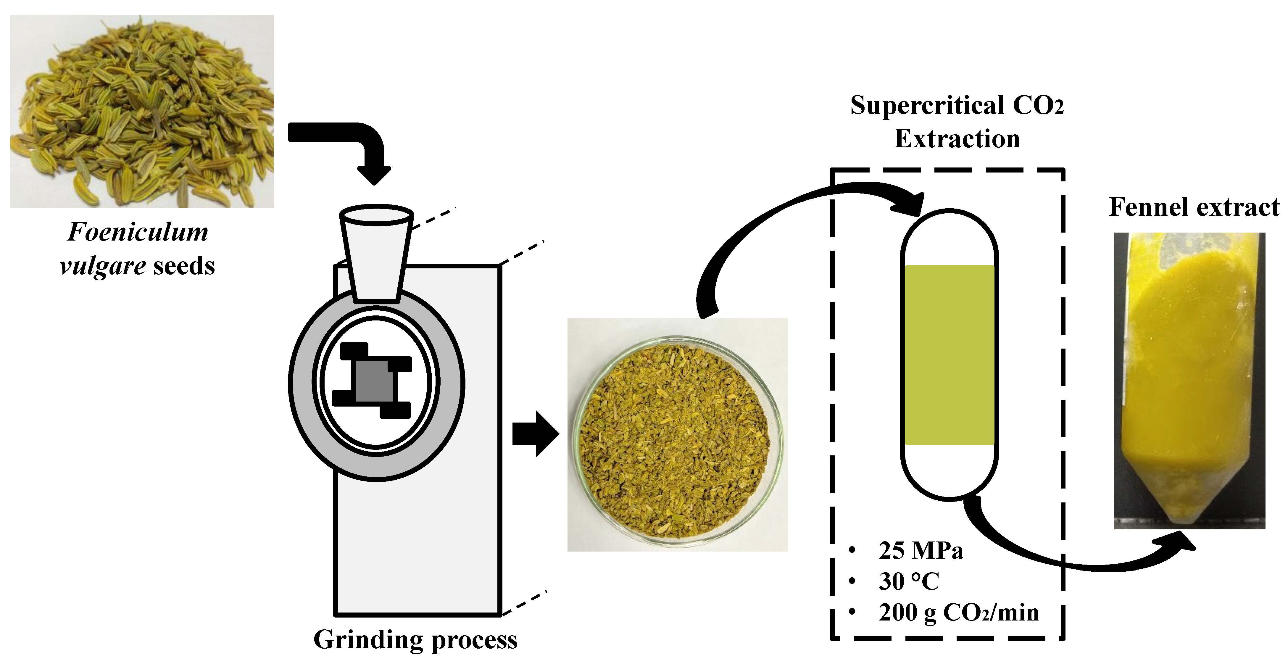 Foods 11 01332 g001 550