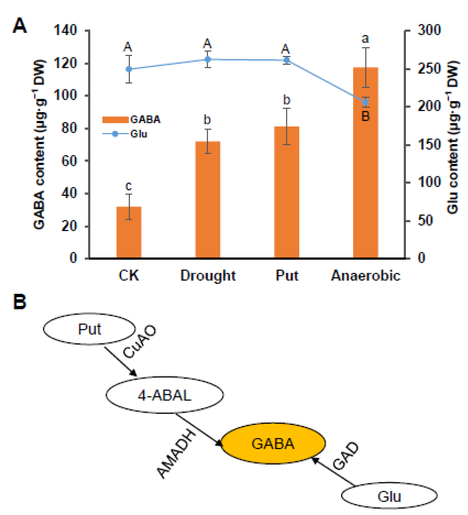 Foods 11 01356 g001 550