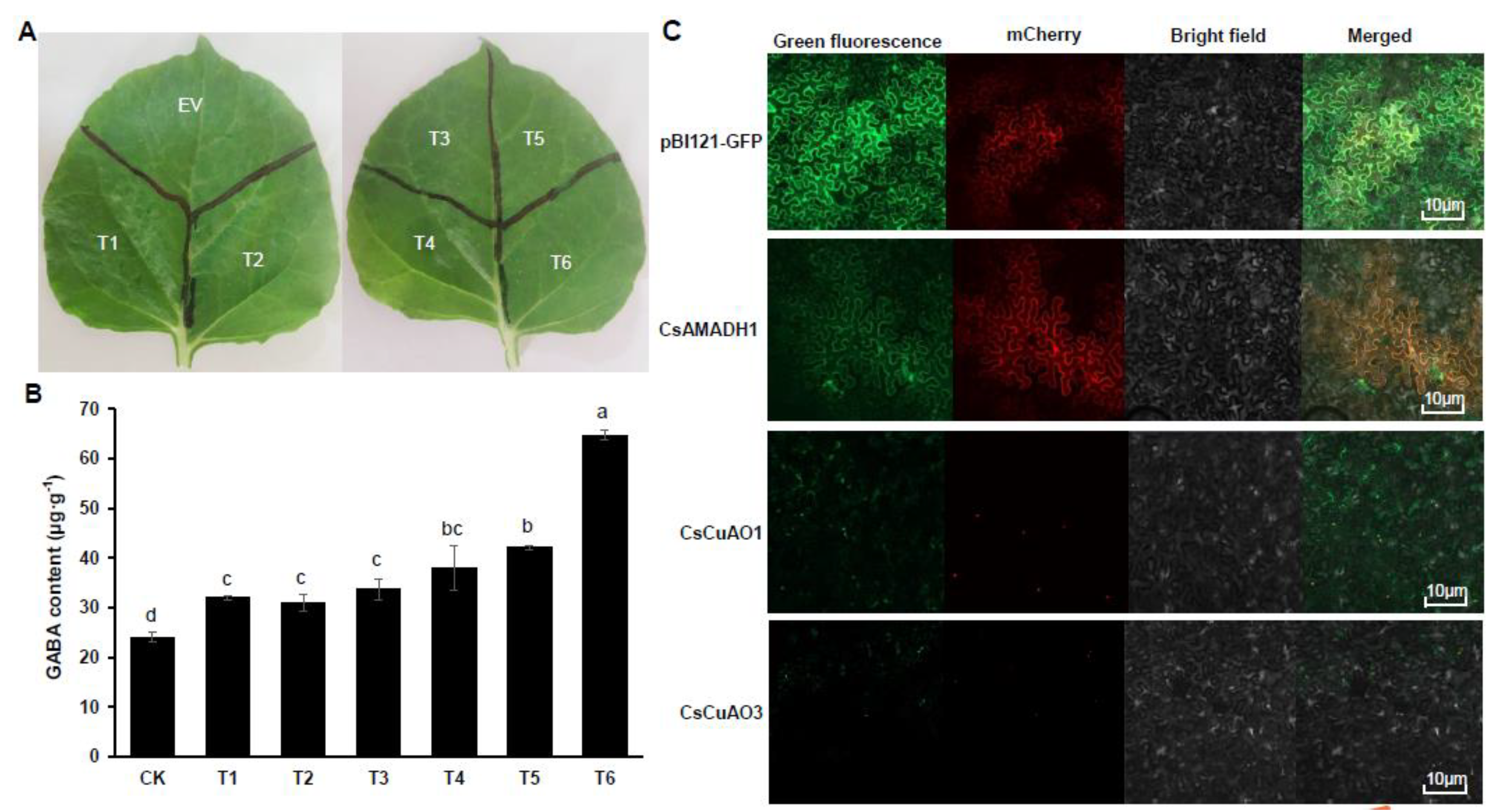 Foods 11 01356 g007 550
