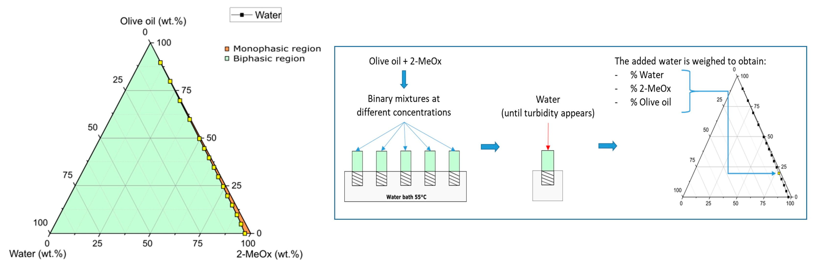 Foods 11 01357 g005 550