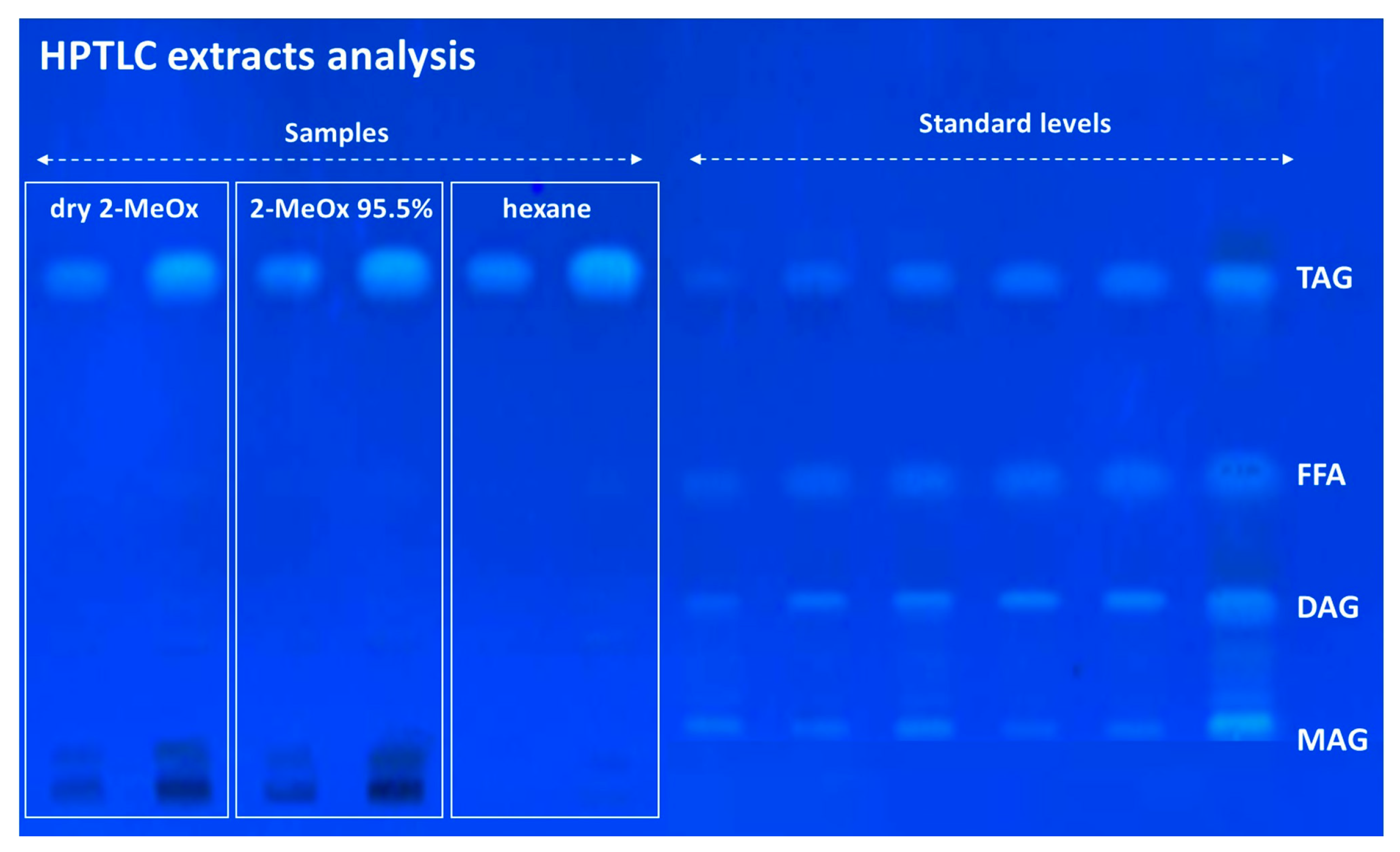 Foods 11 01357 g006 550