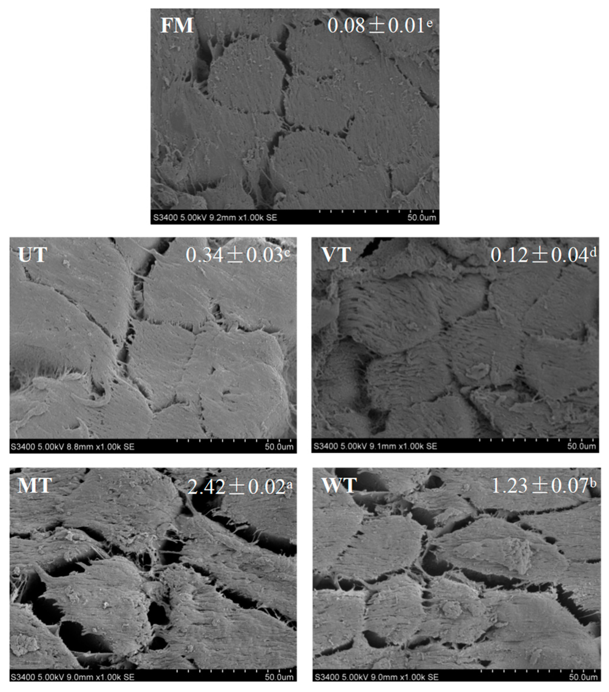Foods 11 01368 g003 550