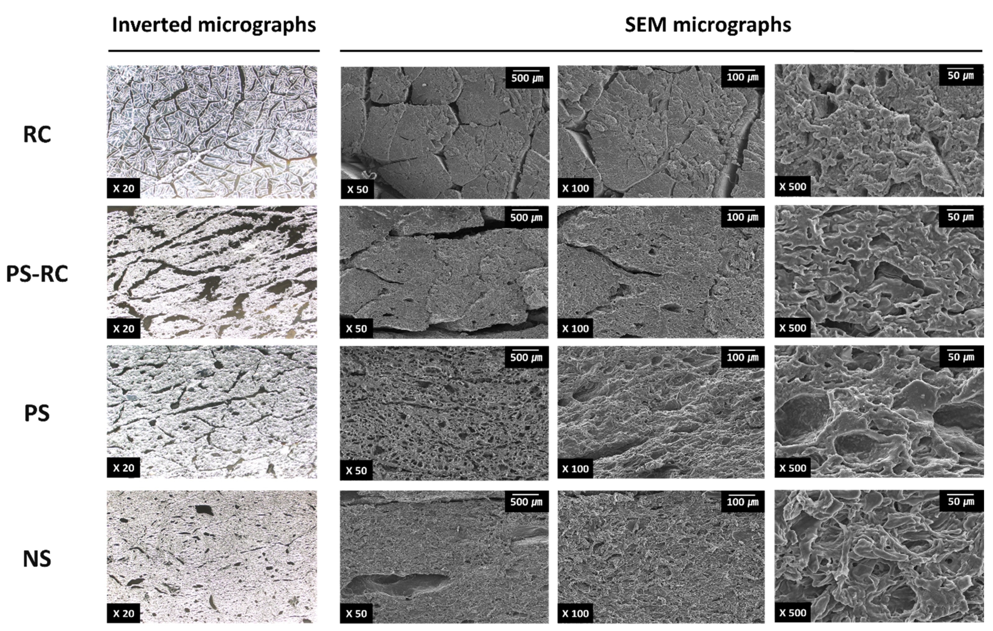 Foods 11 01381 g003 550