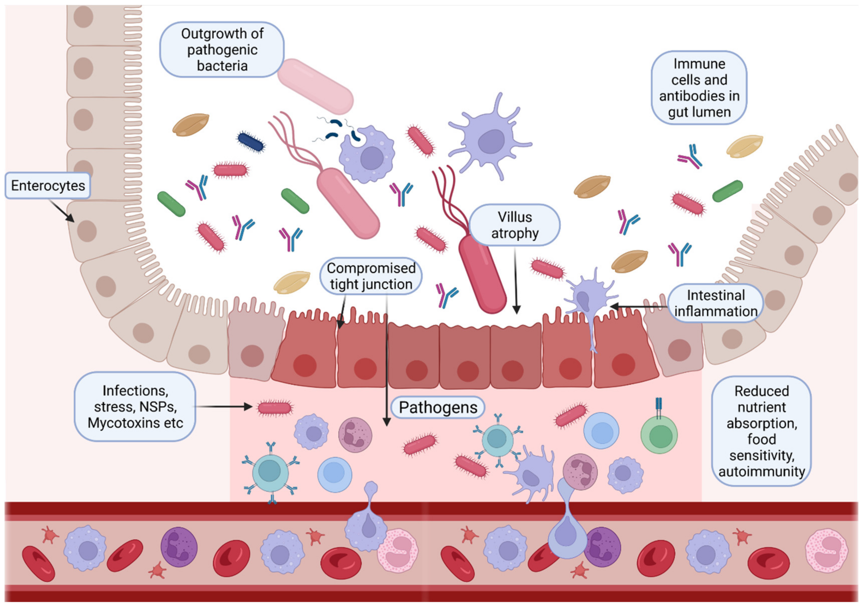 Foods 11 01401 g002 Foods 11 01401 g002