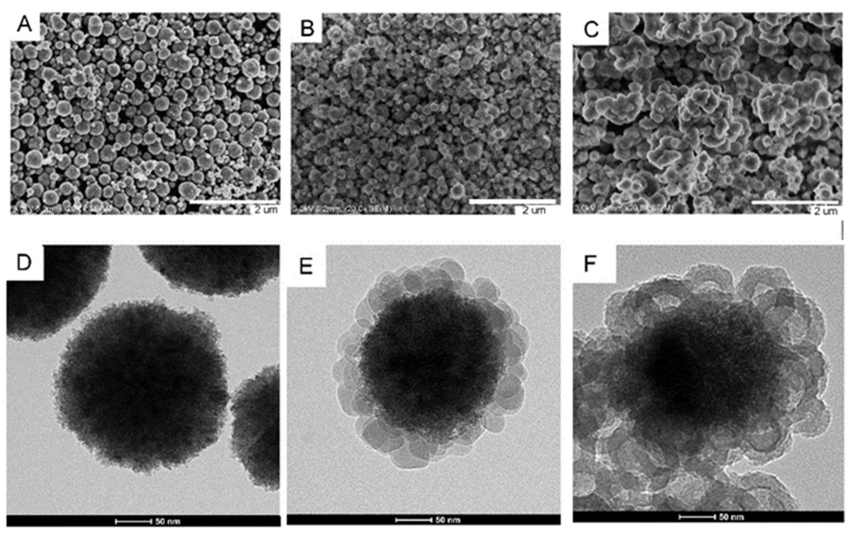 Foods 11 01408 g001 Foods 11 01408 g001