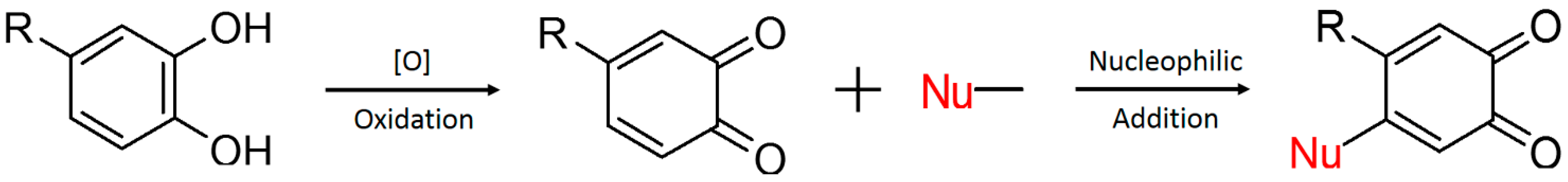 Foods 11 01421 sch001 550