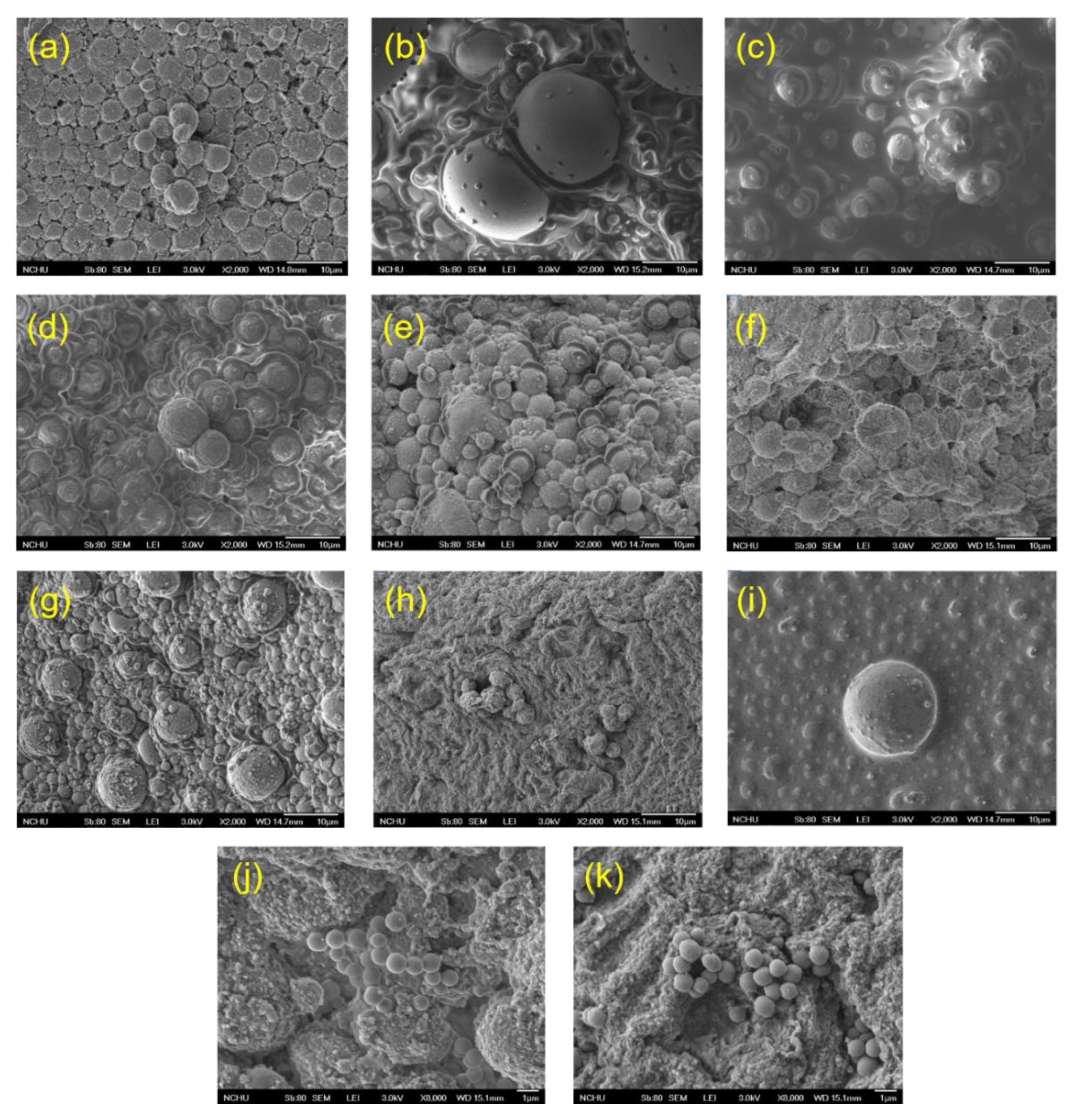 Foods 11 01426 g004 Foods 11 01426 g004