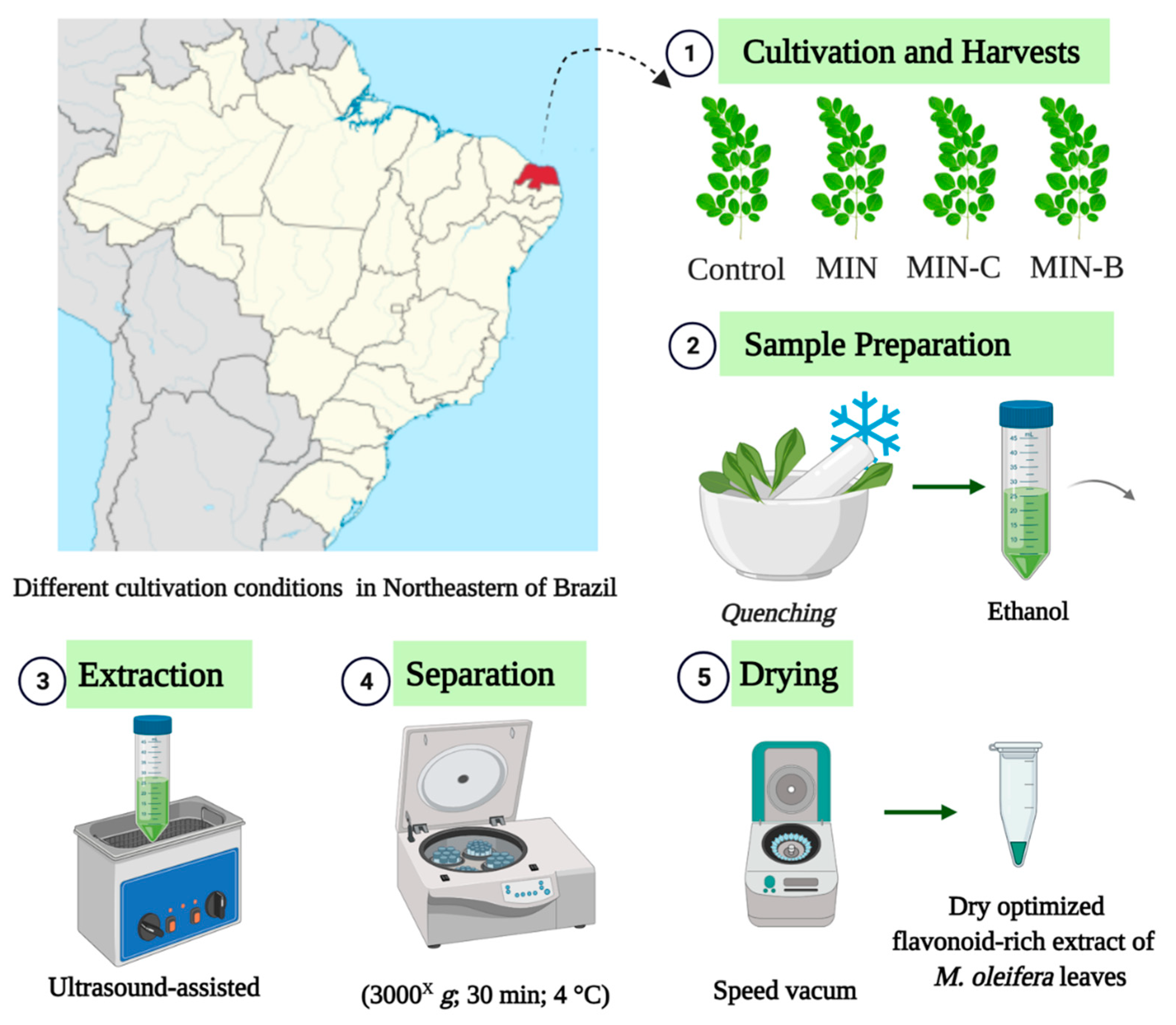 Foods 11 01452 g001 Foods 11 01452 g001