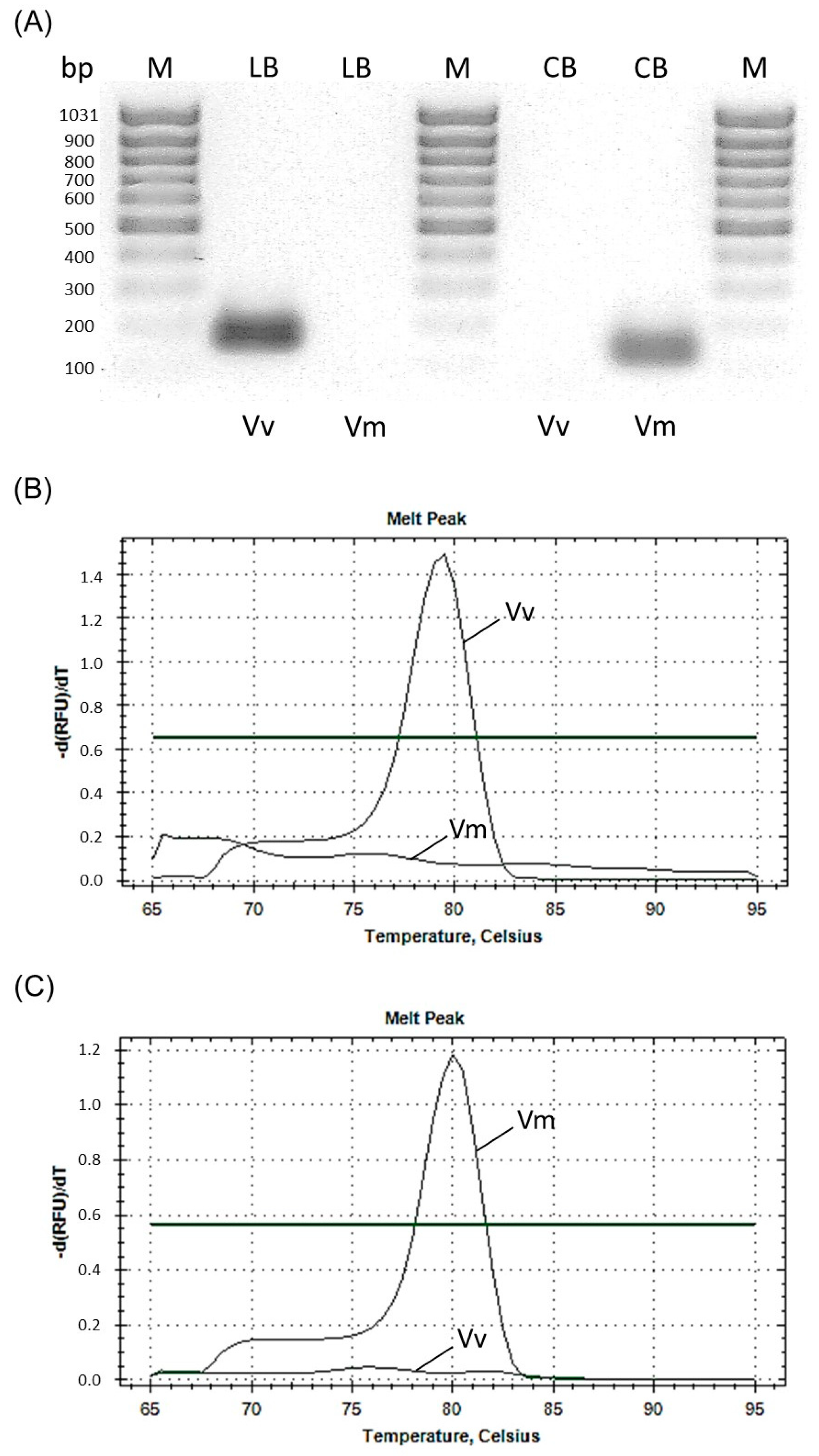 Foods 11 01476 g002 550