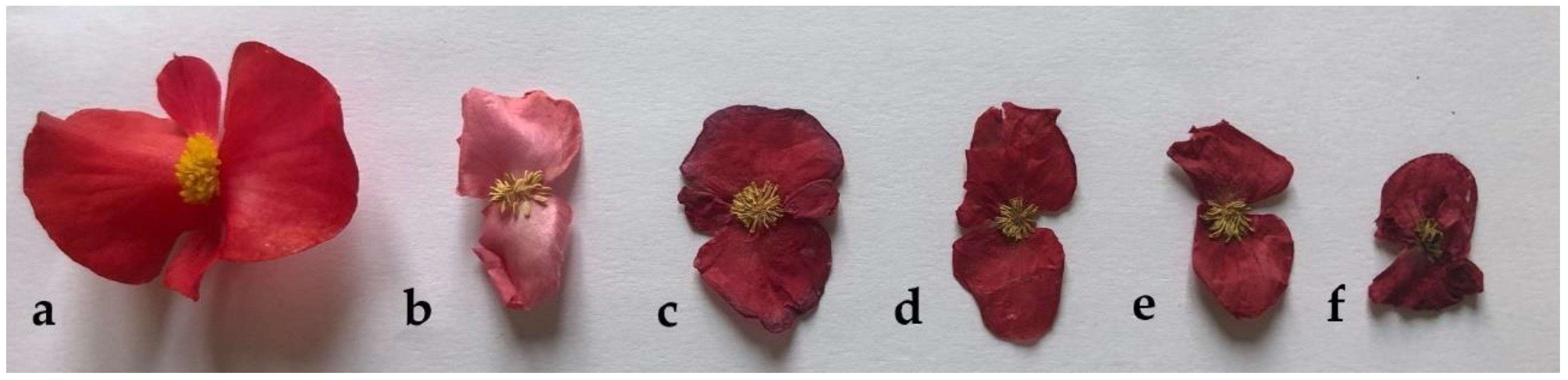 Foods 11 01481 g002 Foods 11 01481 g002