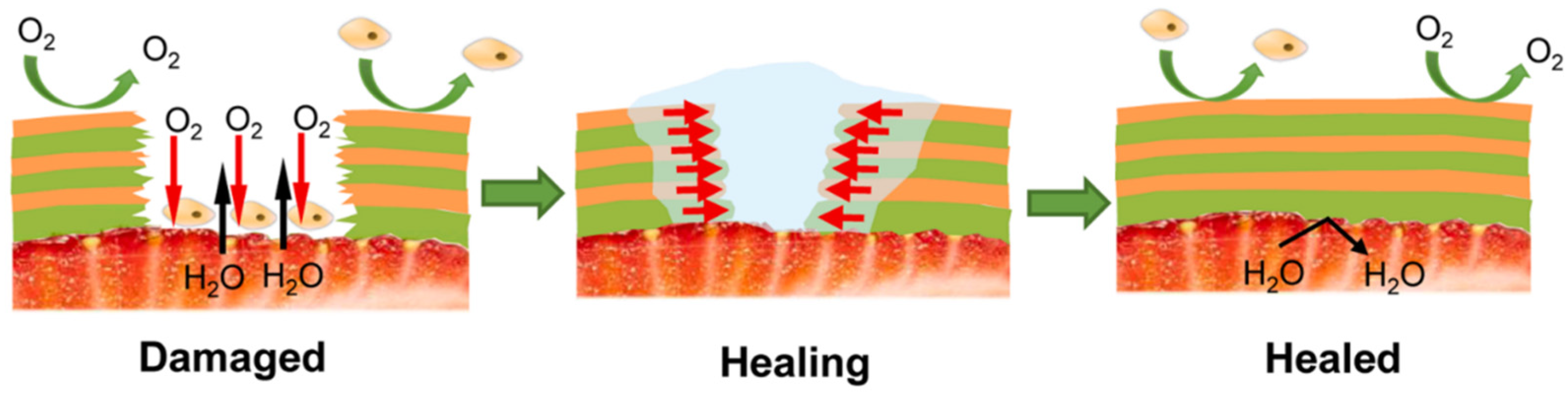 Foods 11 01490 g004 550