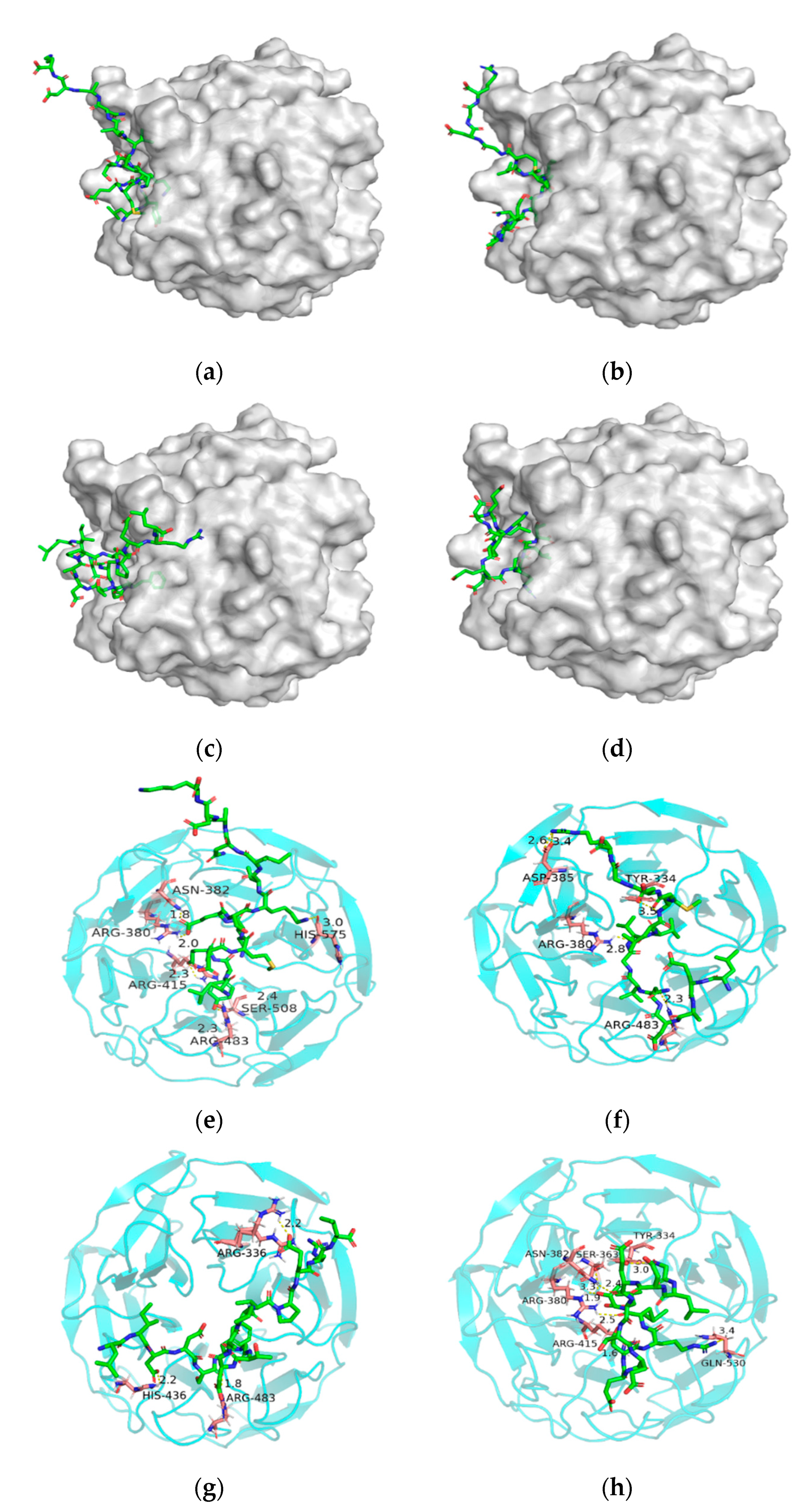 Foods 11 01498 g005 550