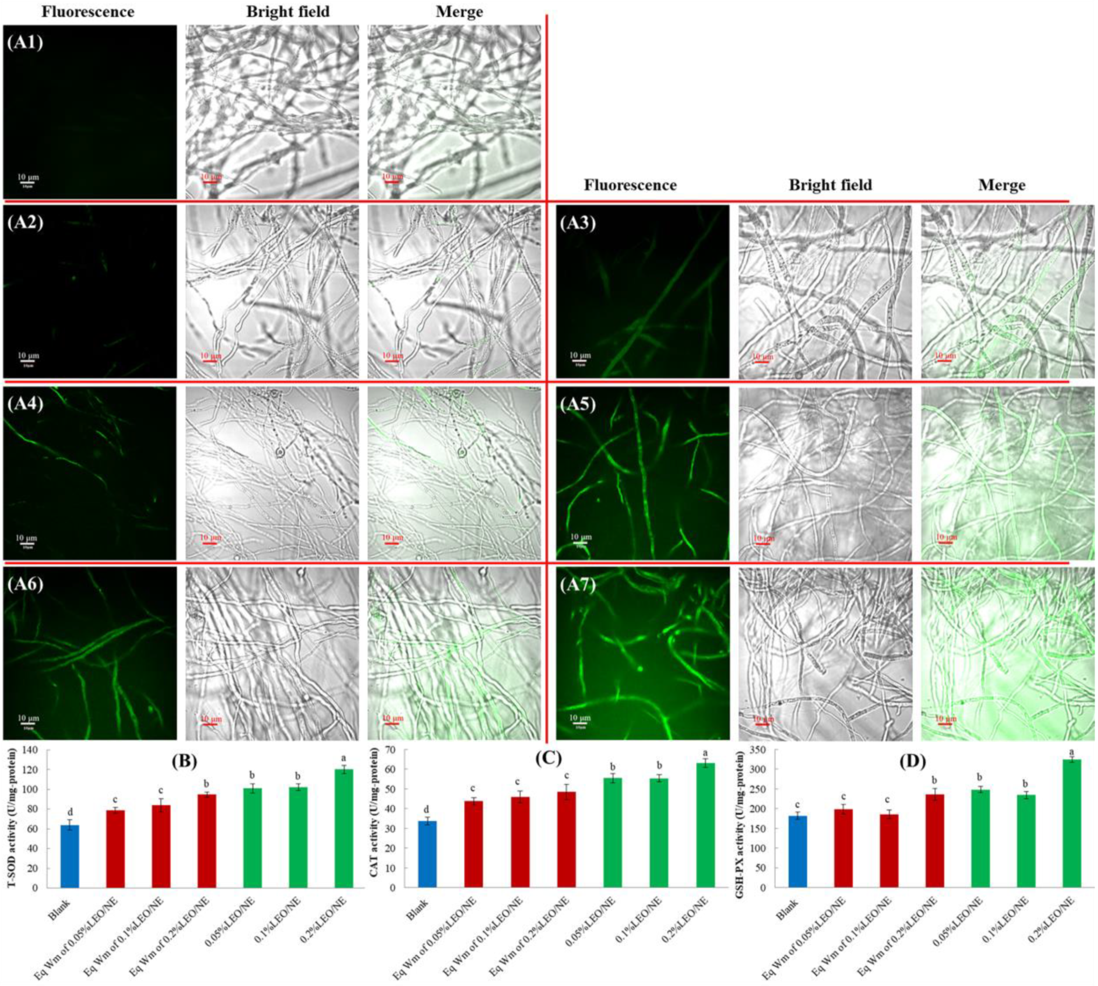 Foods 11 01510 g004 550