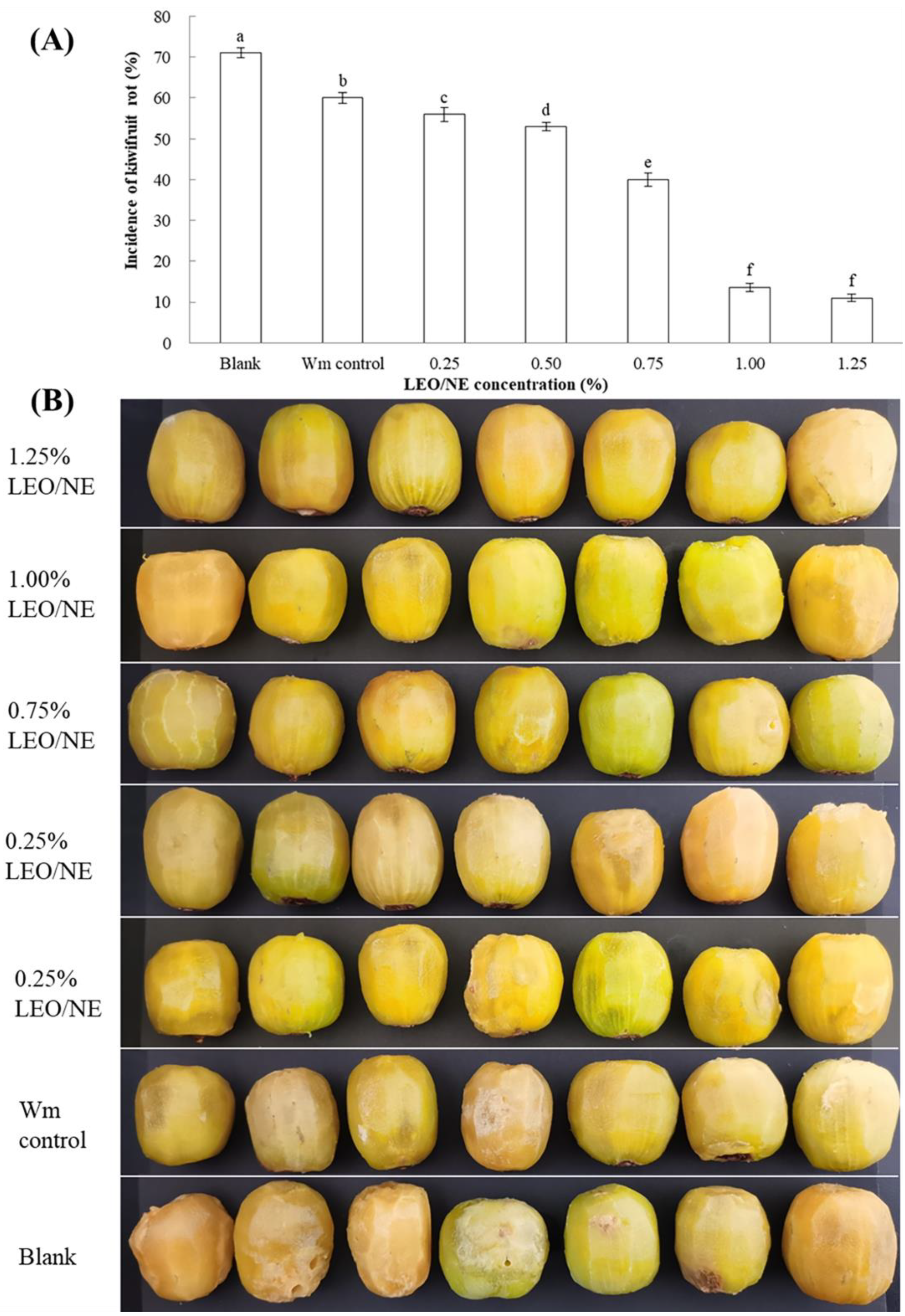 Foods 11 01510 g006 550