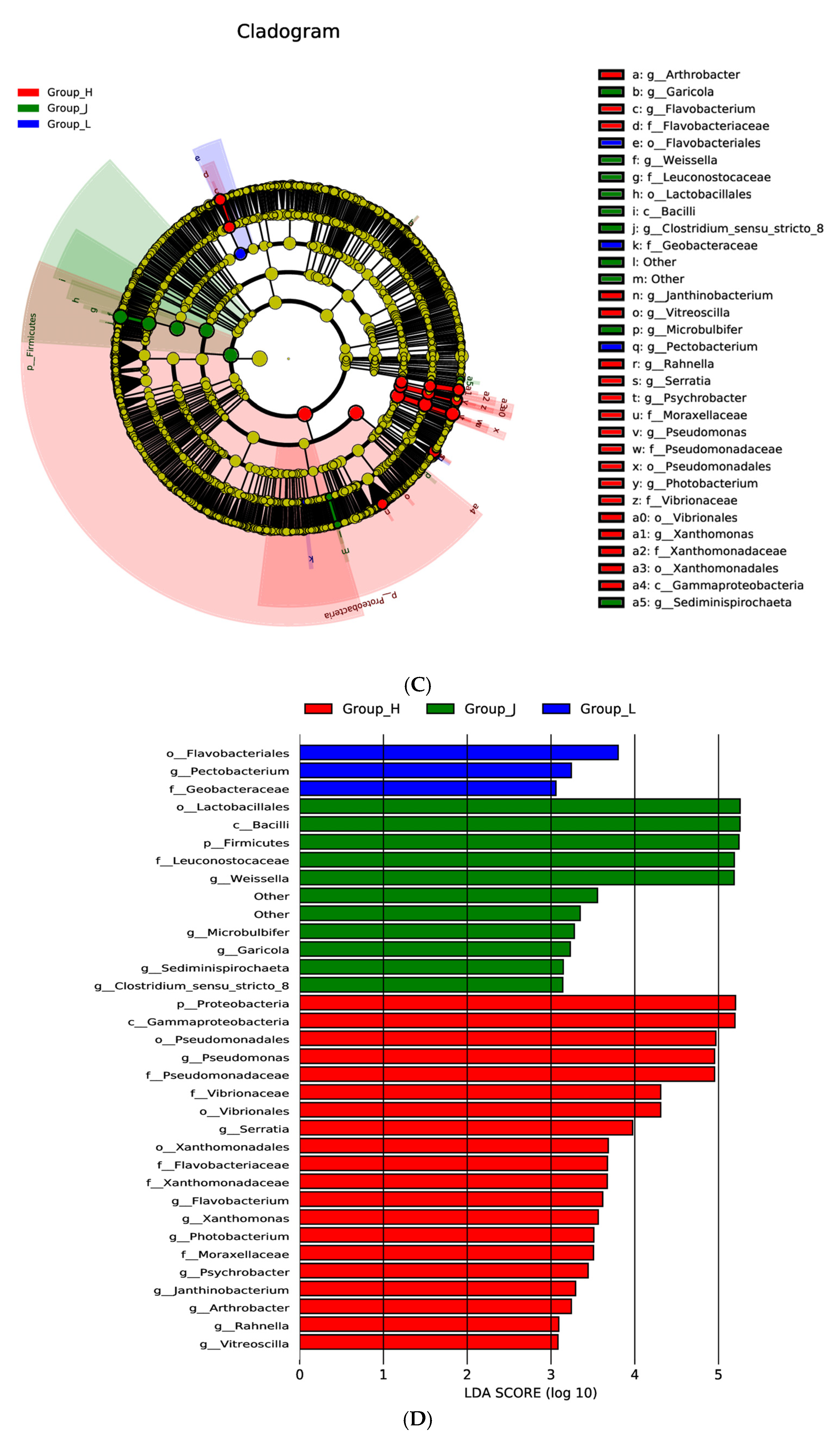 Foods 11 01511 g003b