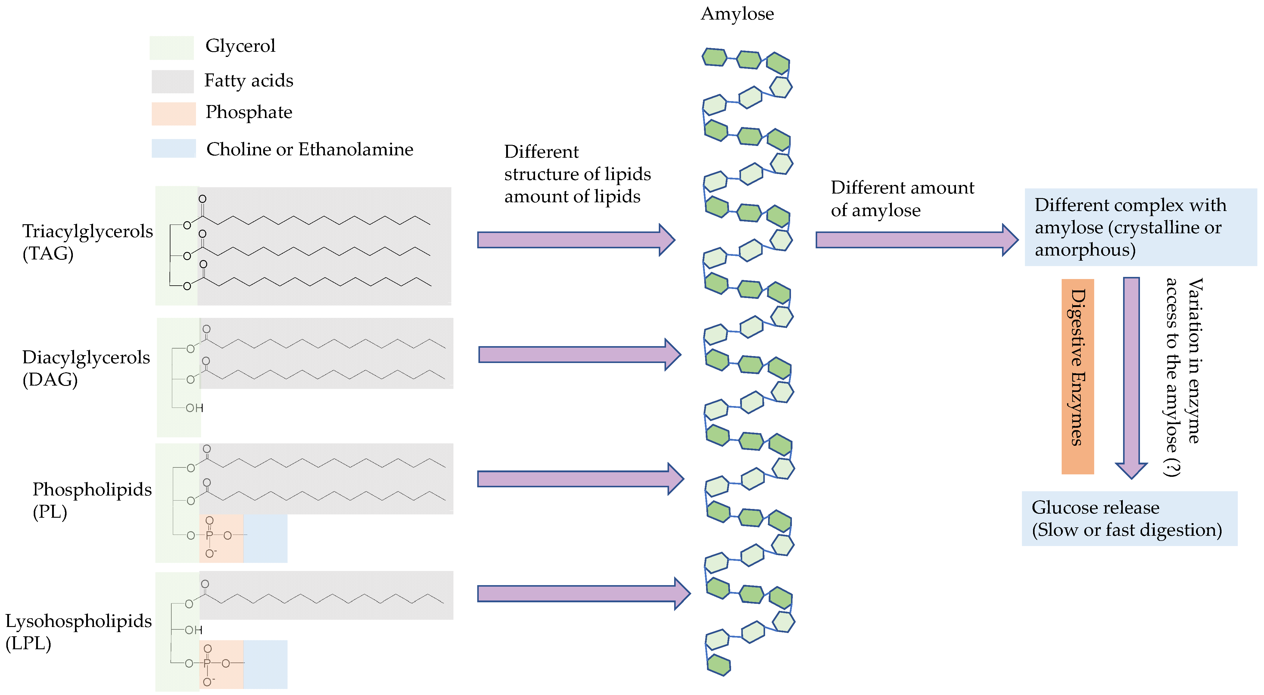 Foods 11 01528 g009 550