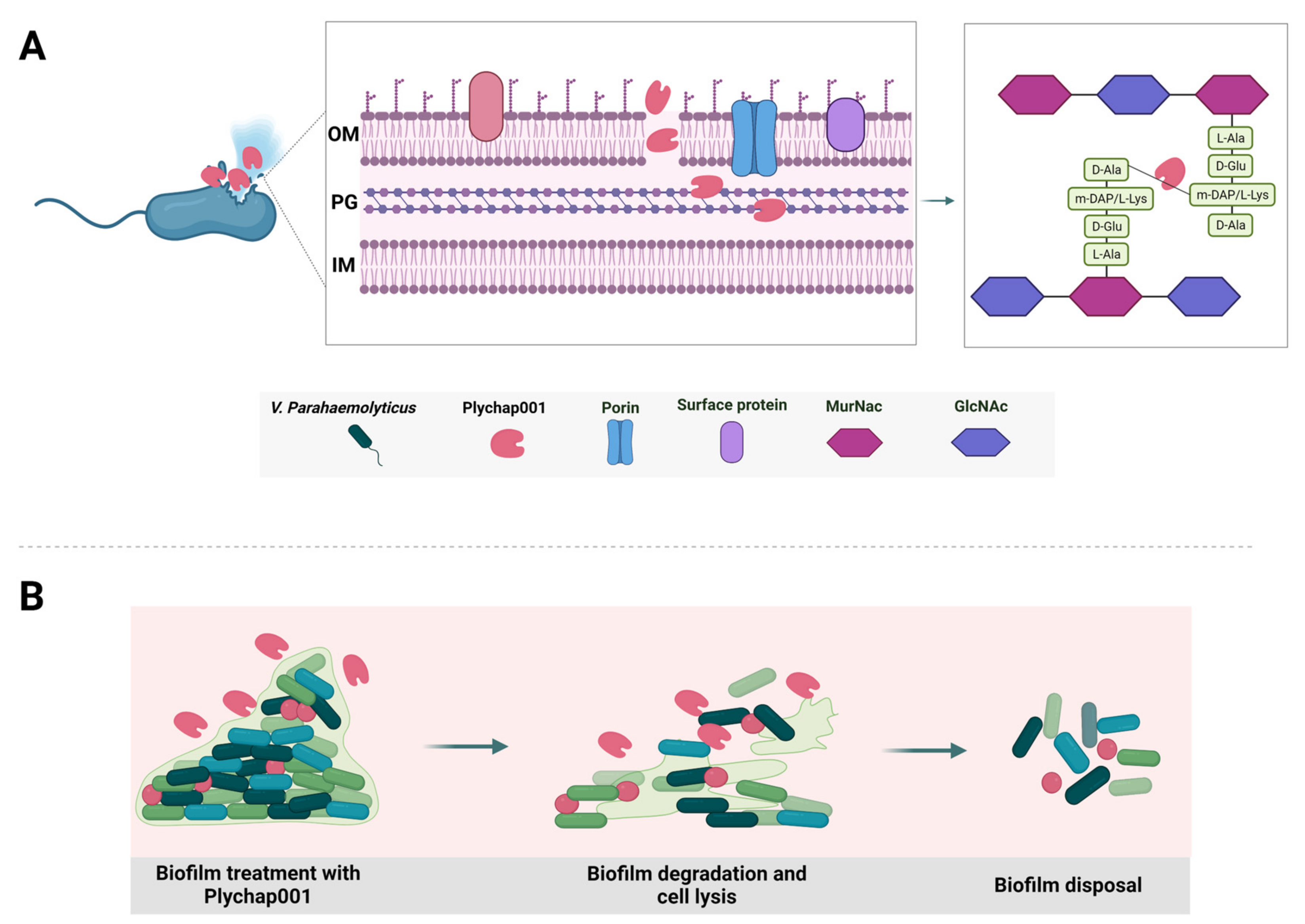 Foods 11 01578 sch001