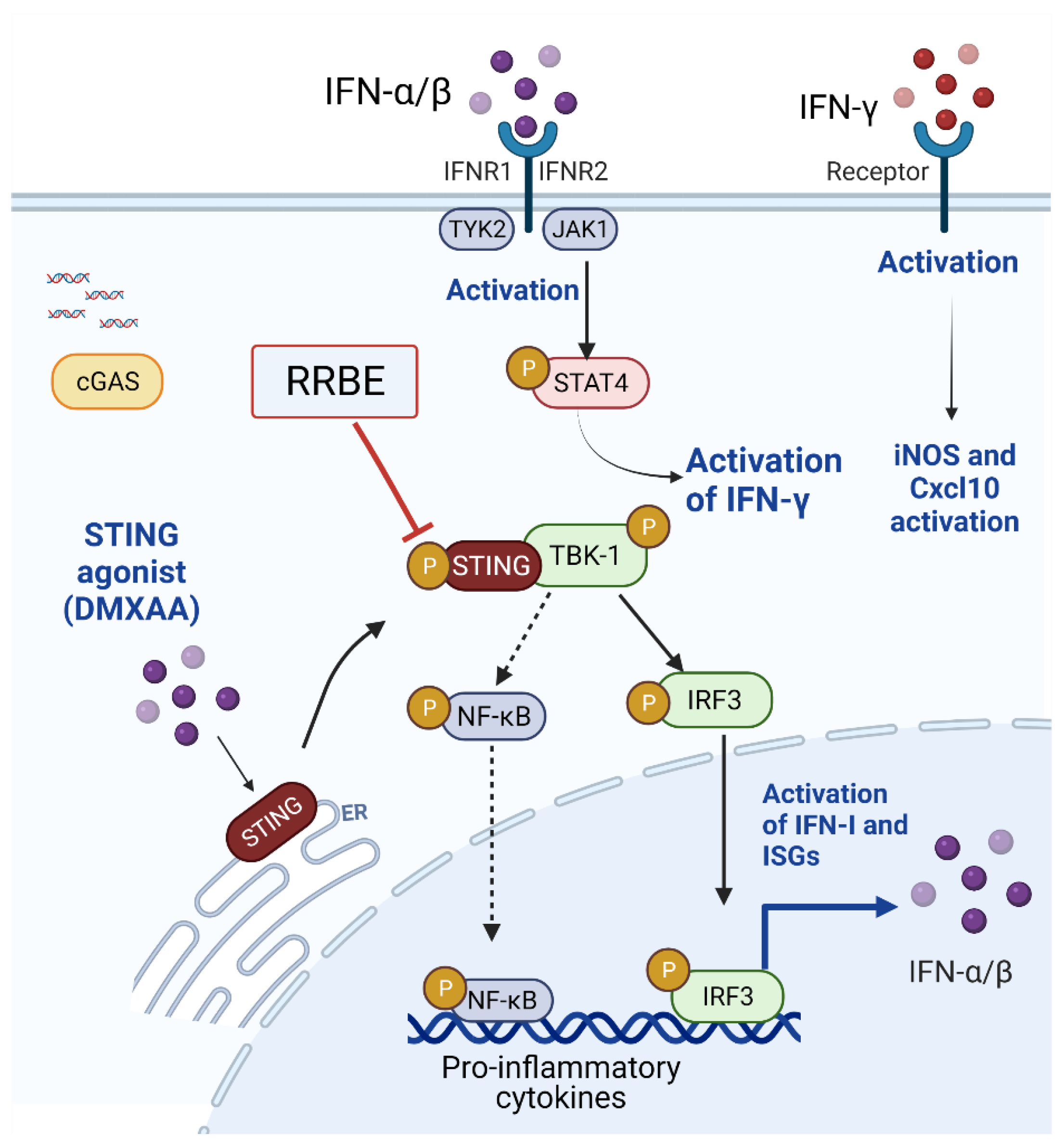 Foods 11 01622 g007 550