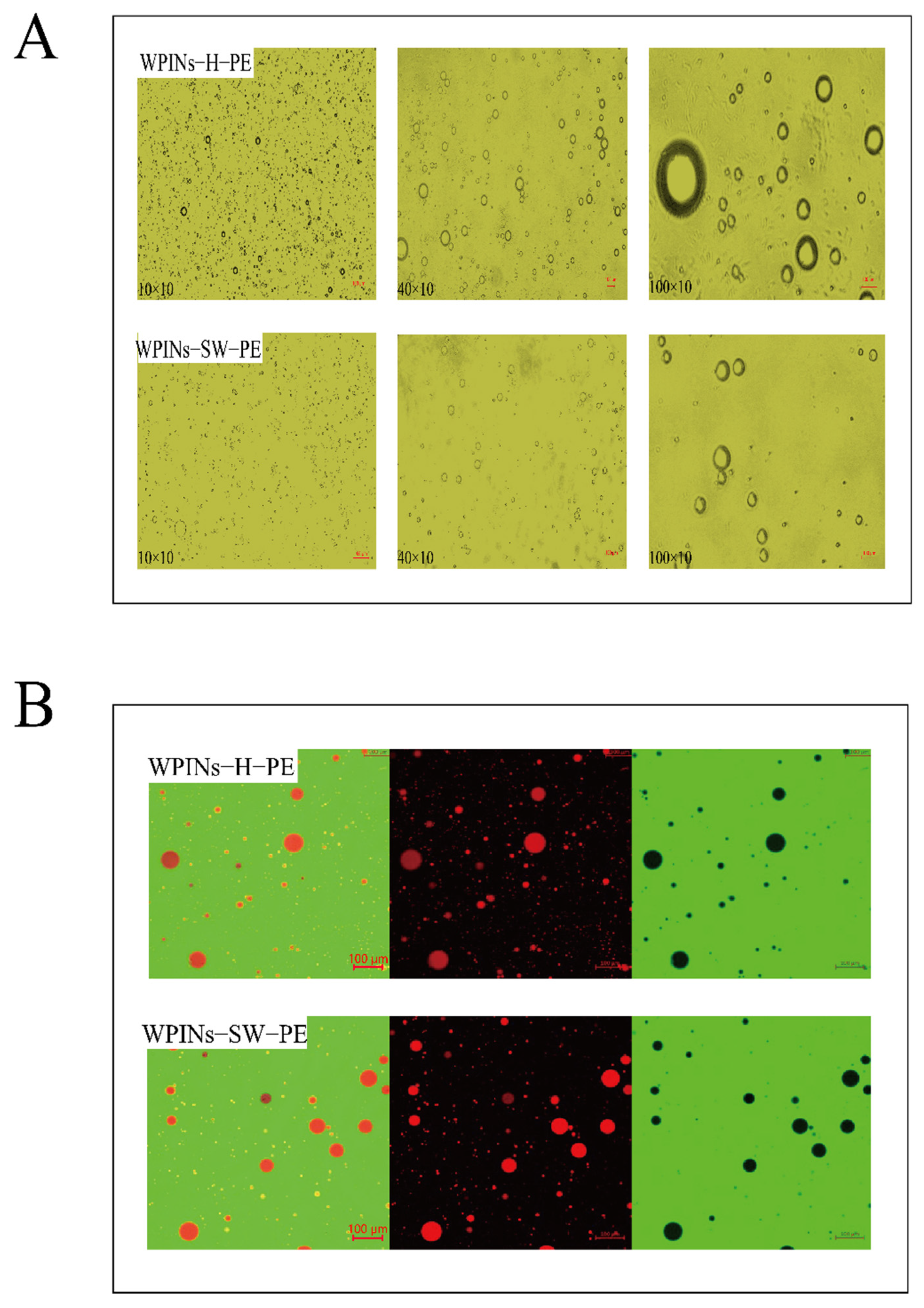 Foods 11 01625 g002a