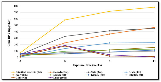 Full article: Impact of benzophenone-3 on the integument and gills