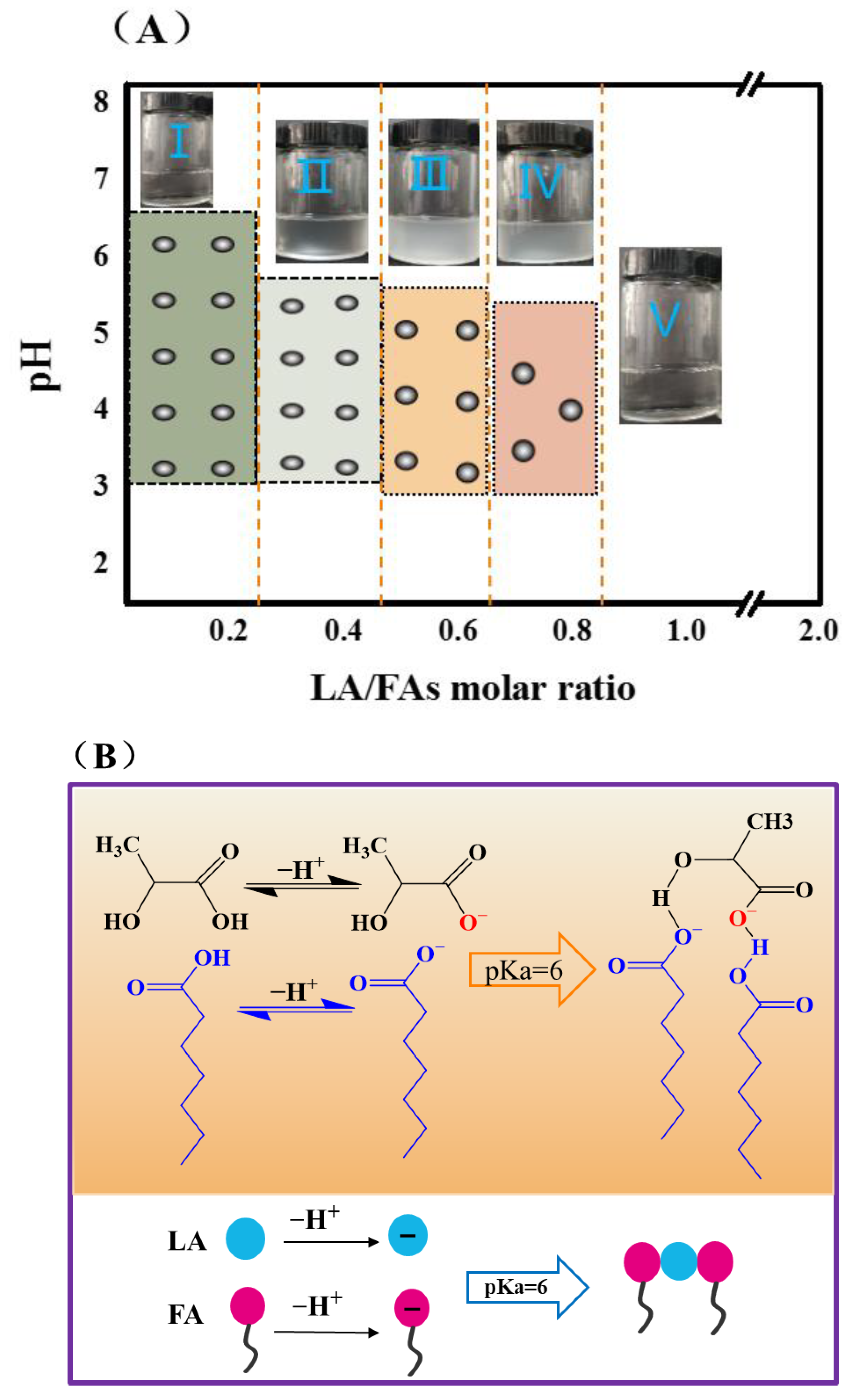 Foods 11 01630 g001 Foods 11 01630 g001