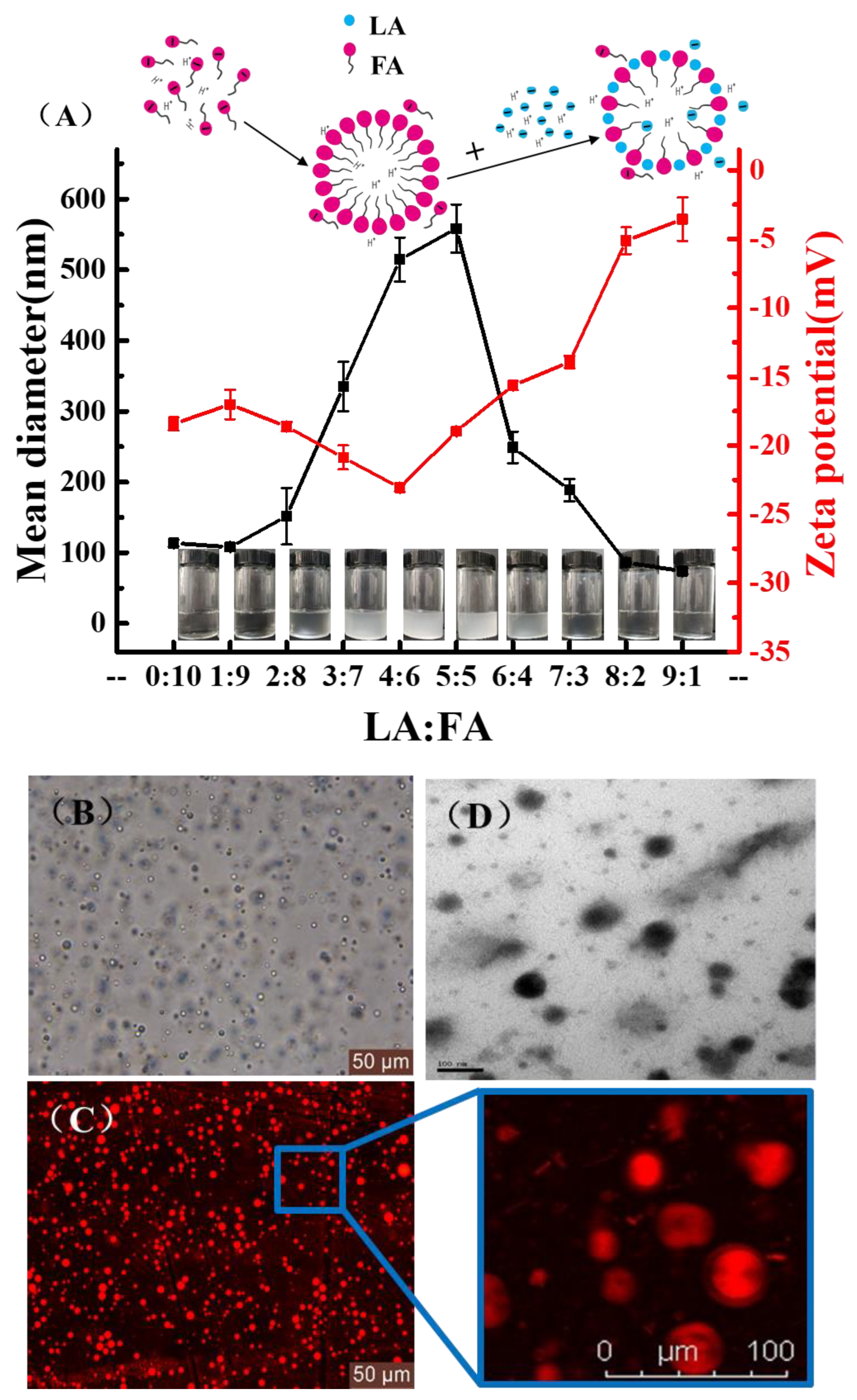 Foods 11 01630 g002 Foods 11 01630 g002