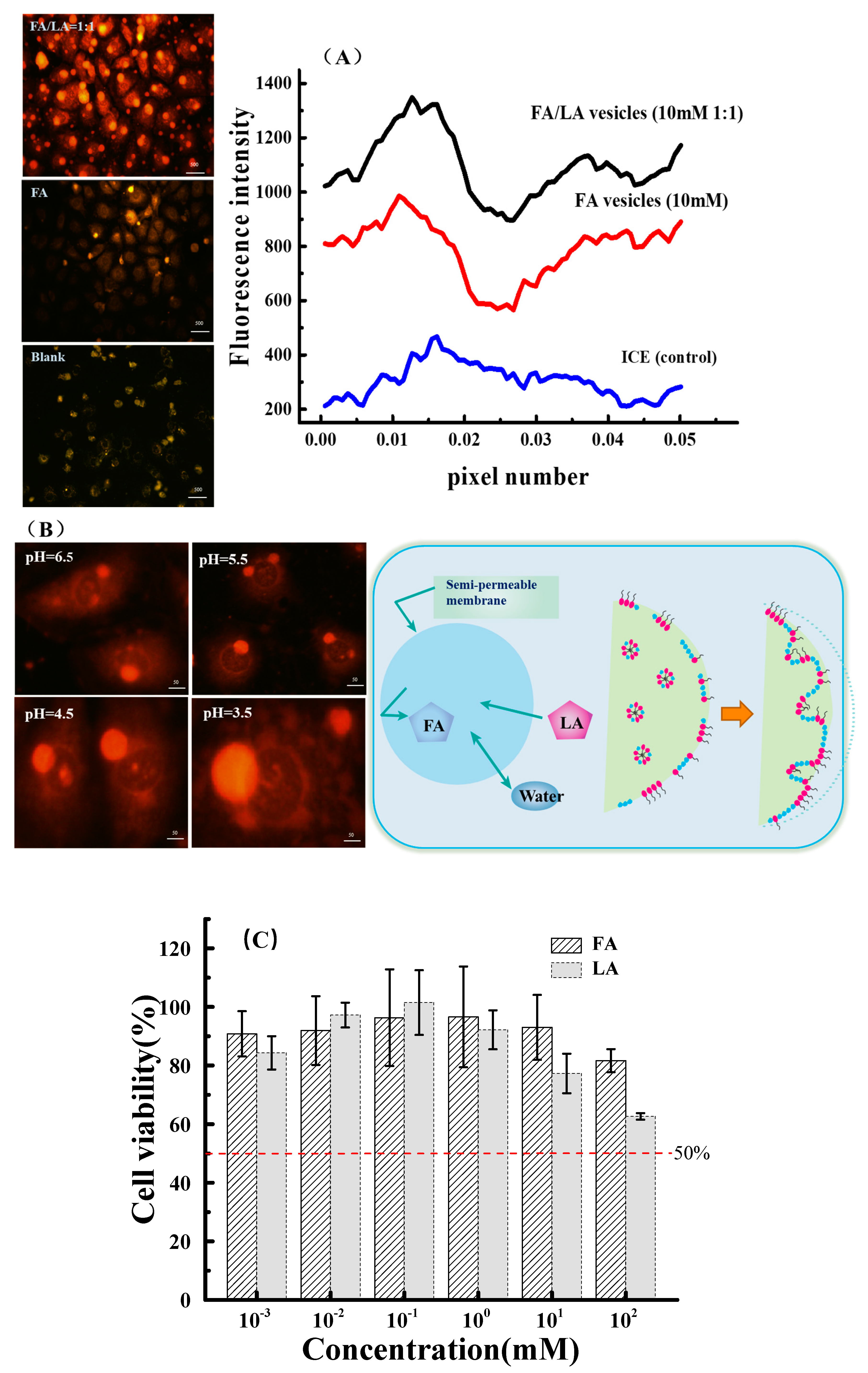 Foods 11 01630 g003 Foods 11 01630 g003