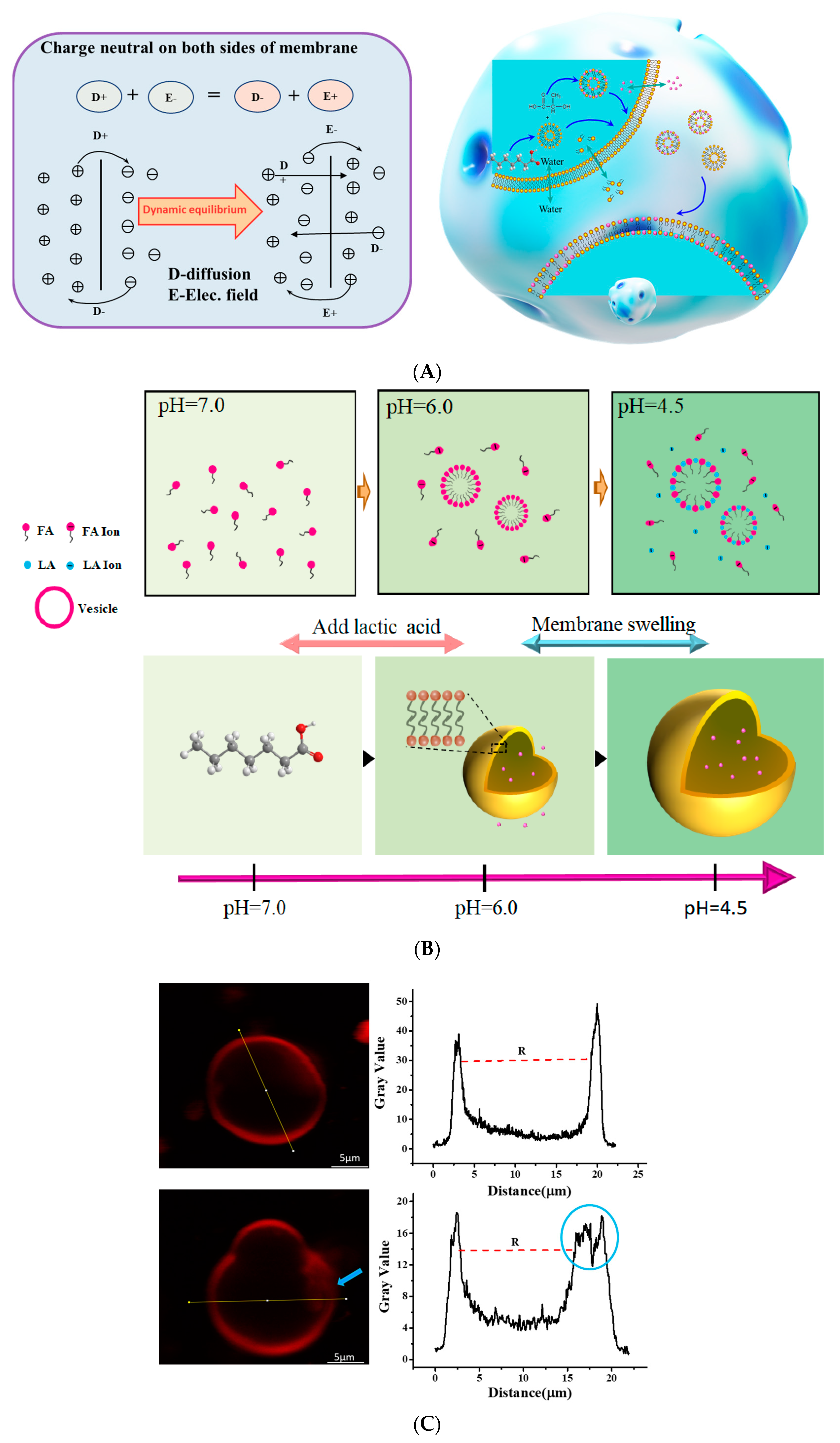 Foods 11 01630 g006 Foods 11 01630 g006