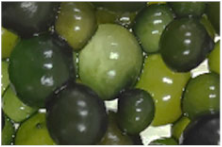 Foods 11 01640 i004 Foods 11 01640 i004