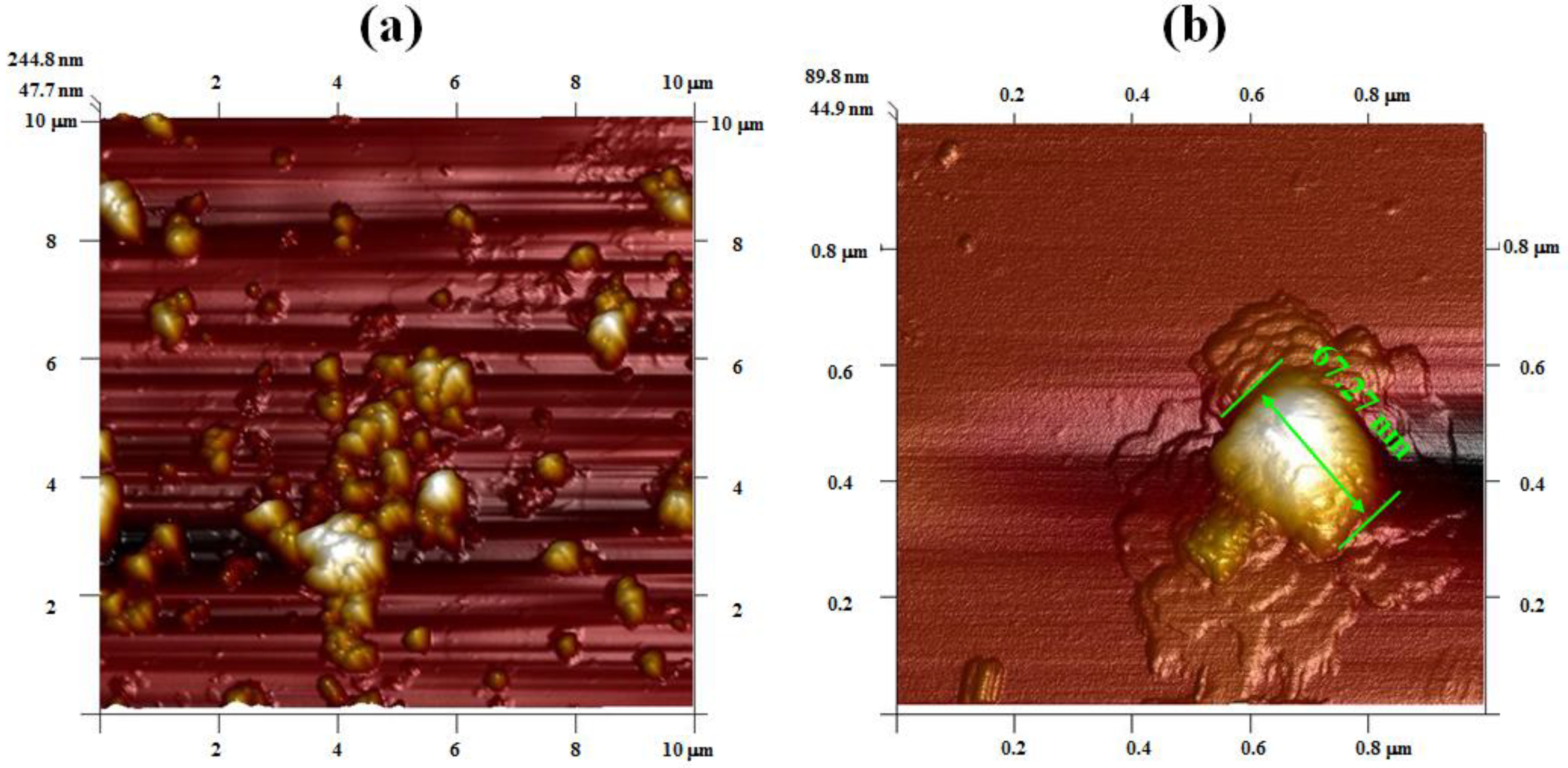 Foods 11 01656 g002a