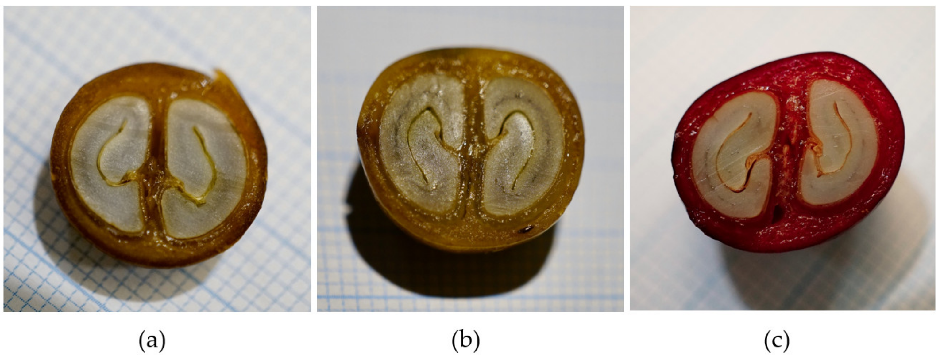 Foods 11 01672 g002 Foods 11 01672 g002