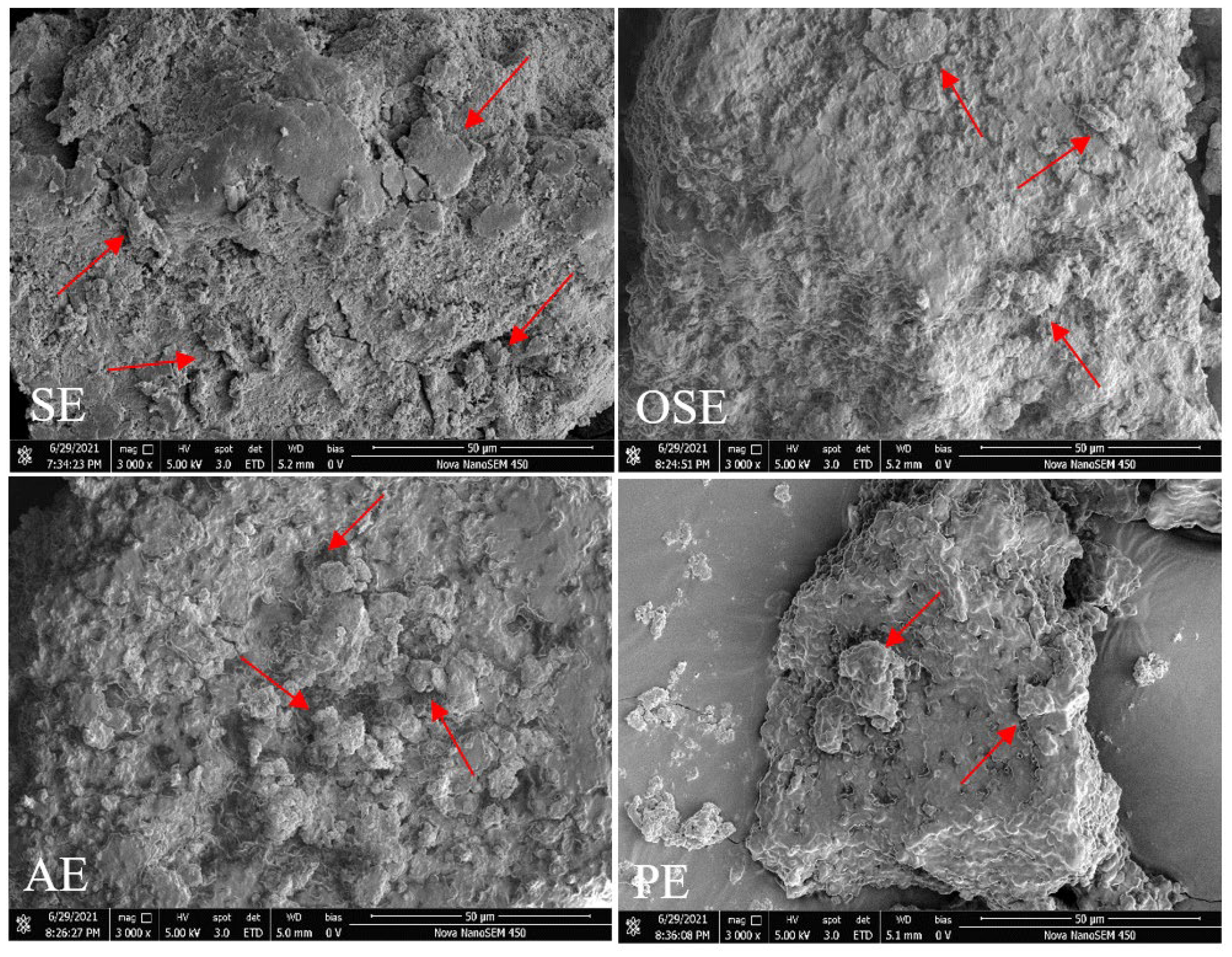 Foods 11 01684 g001 550