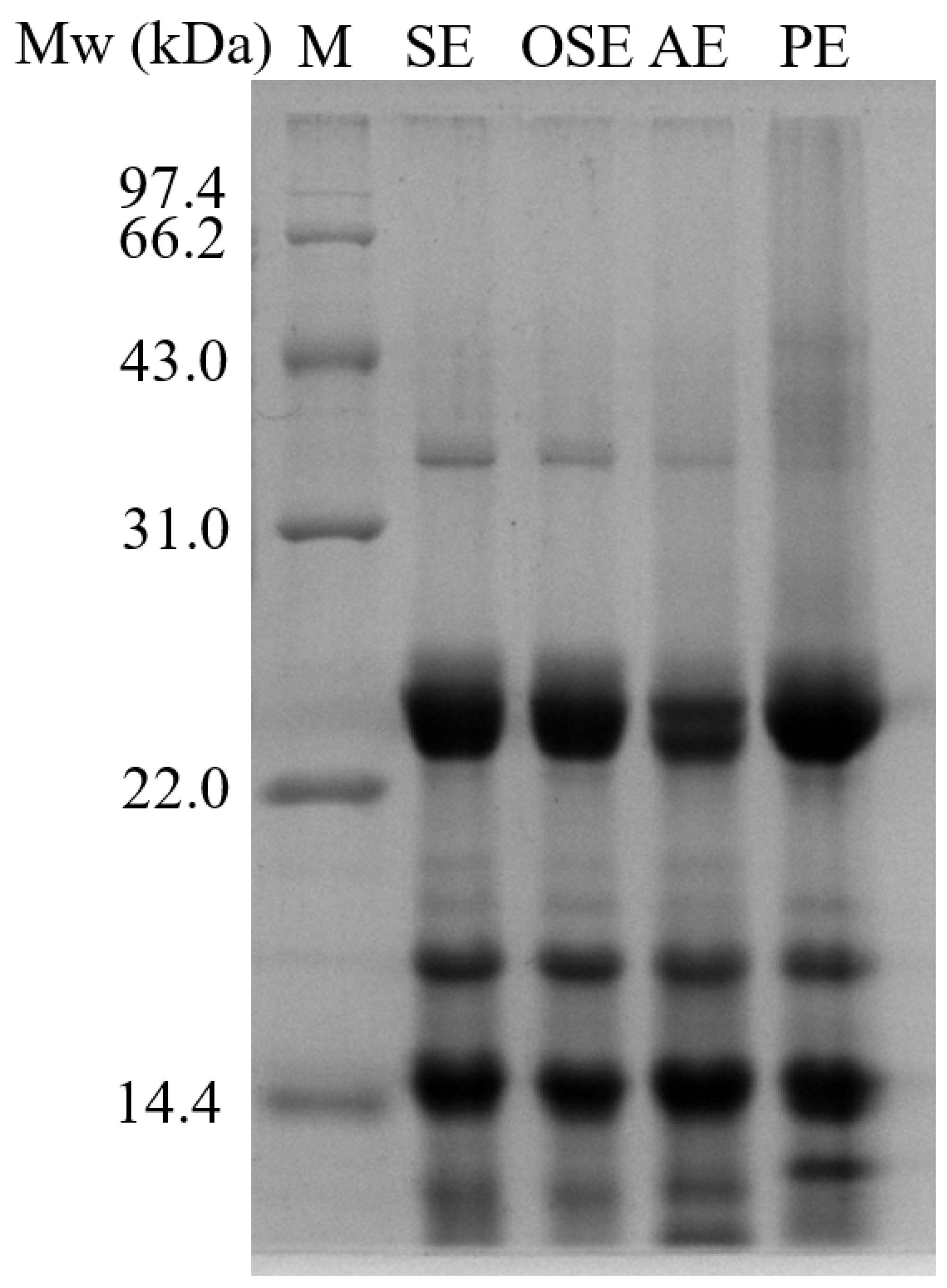 Foods 11 01684 g002 550