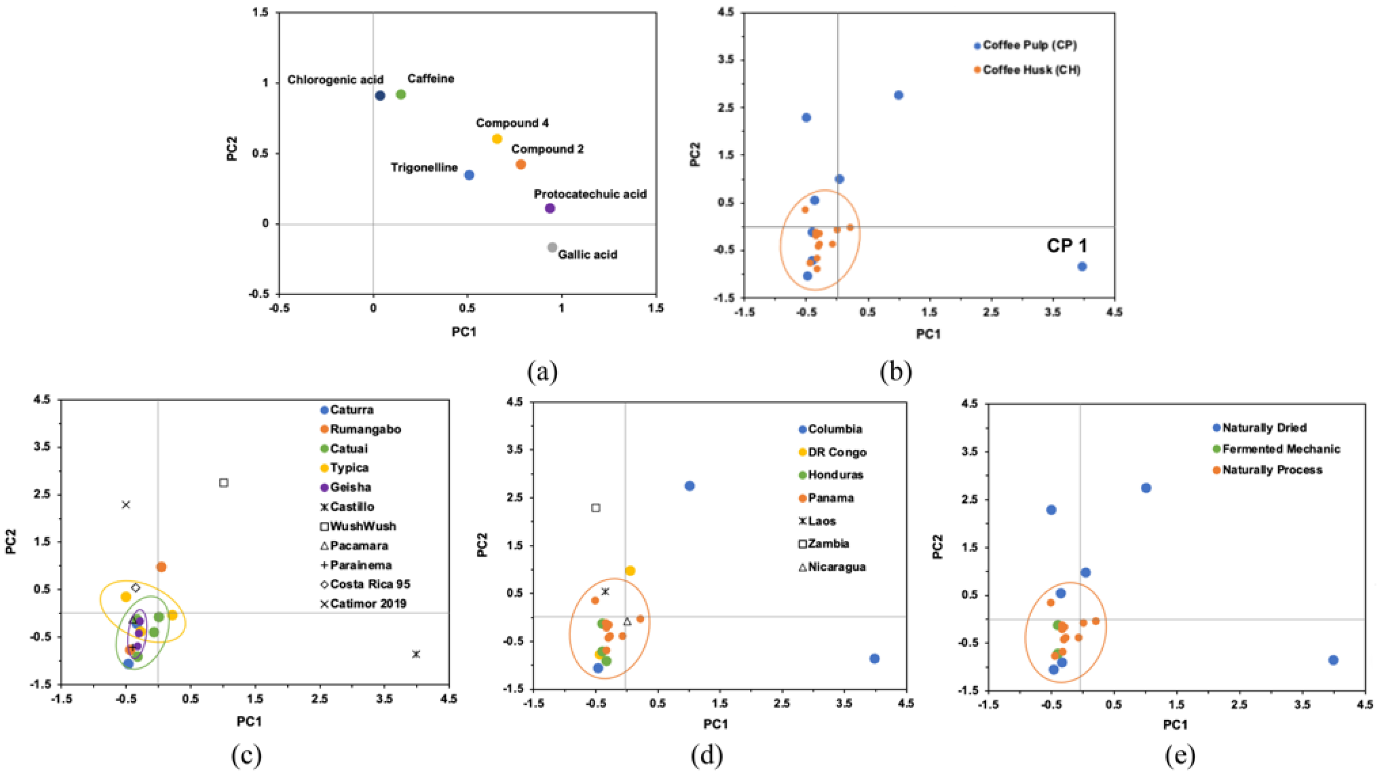 Foods | Free Full-Text | Preliminary Characterization of 