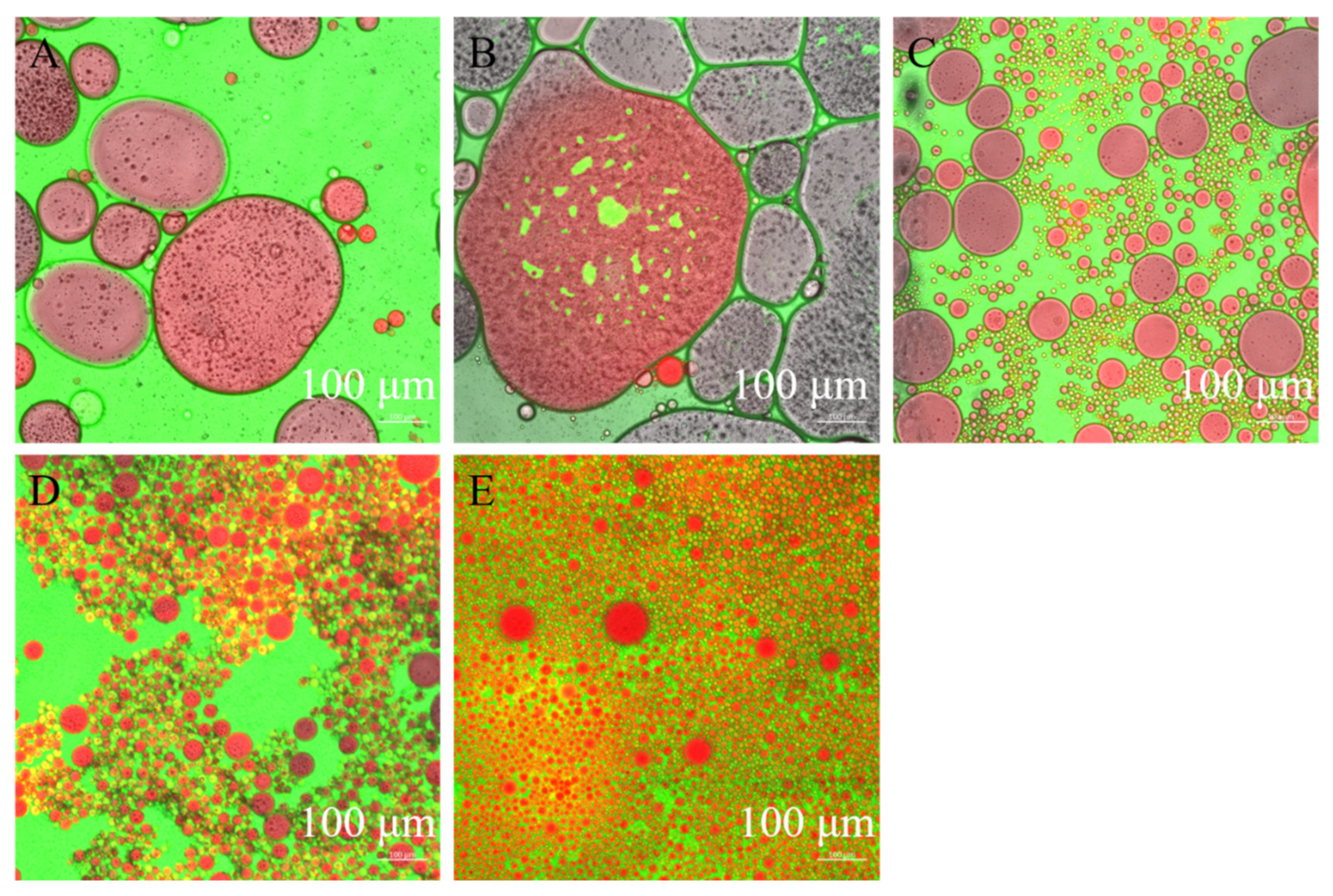 Foods 11 01712 g004 550