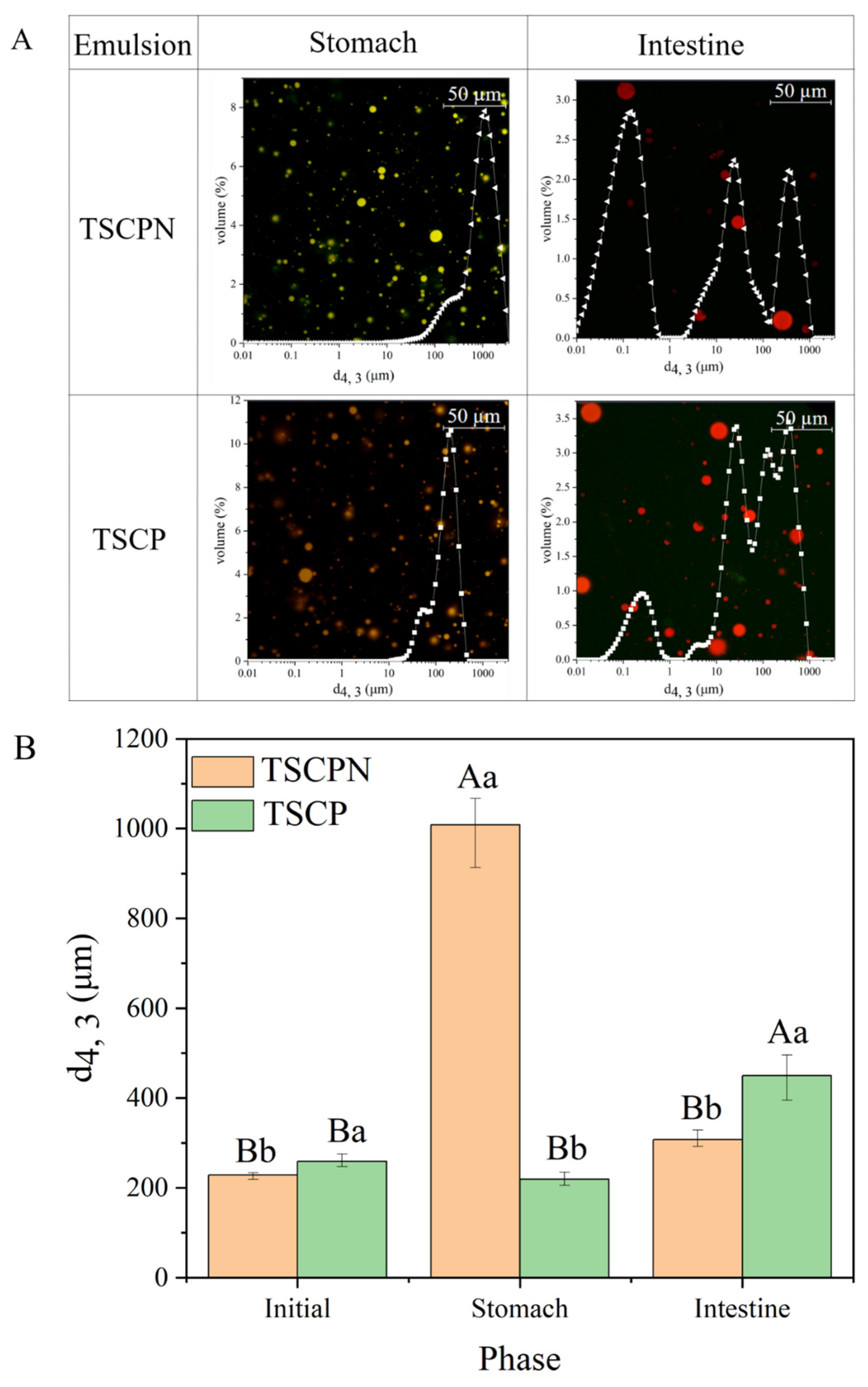 Foods 11 01712 g008 550
