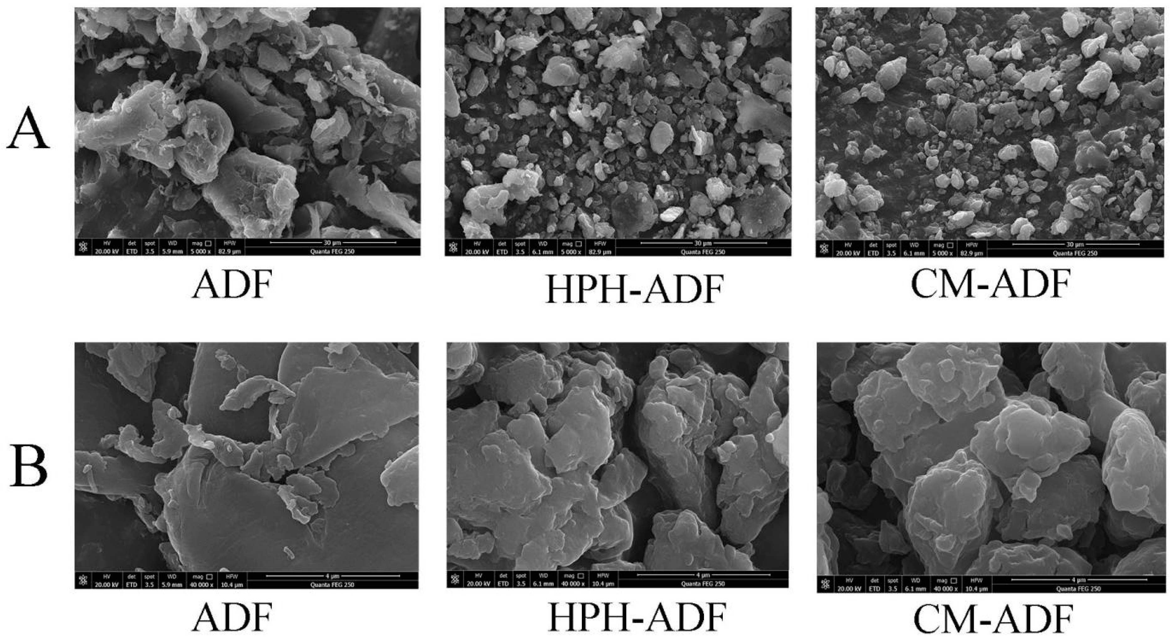 Foods 11 01716 g002 550