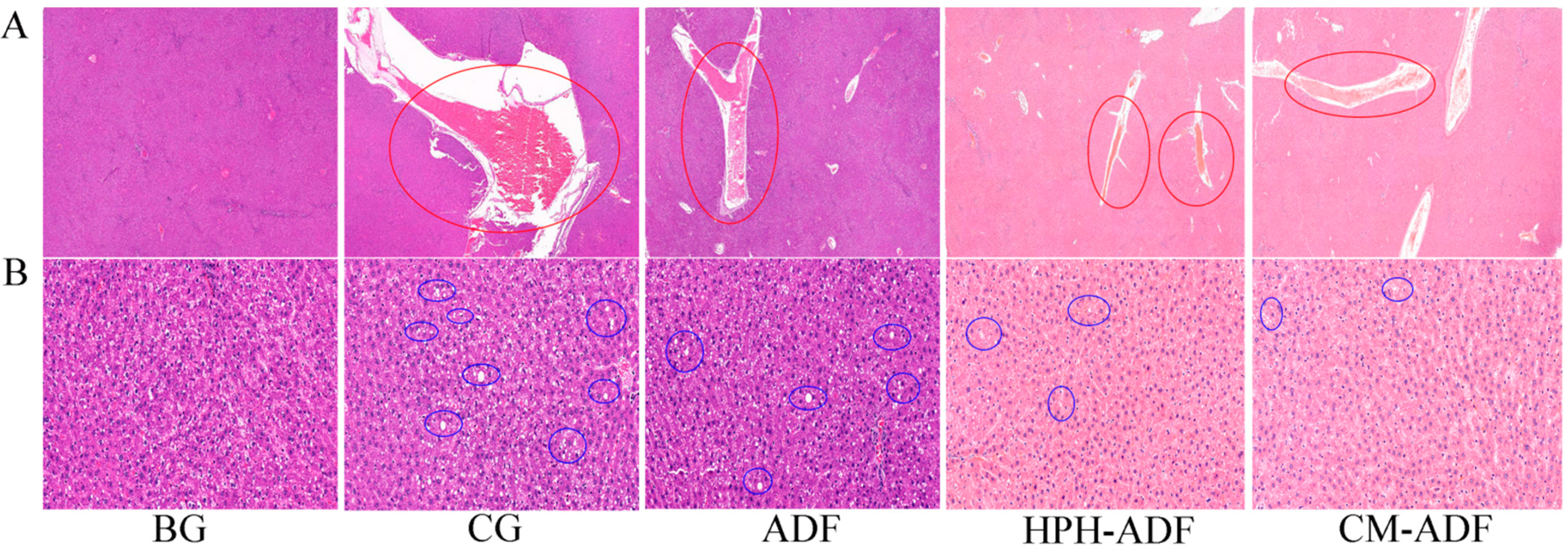 Foods 11 01716 g005 550