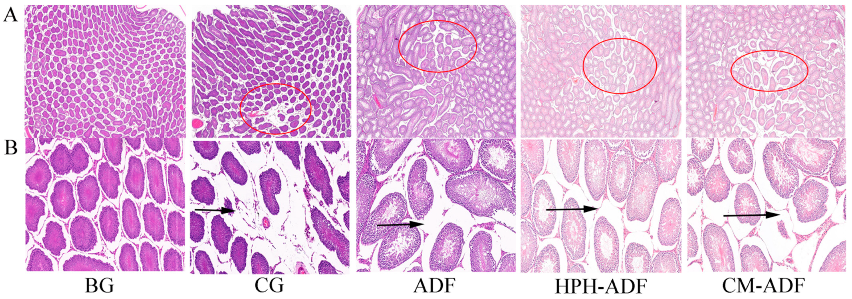 Foods 11 01716 g006 550